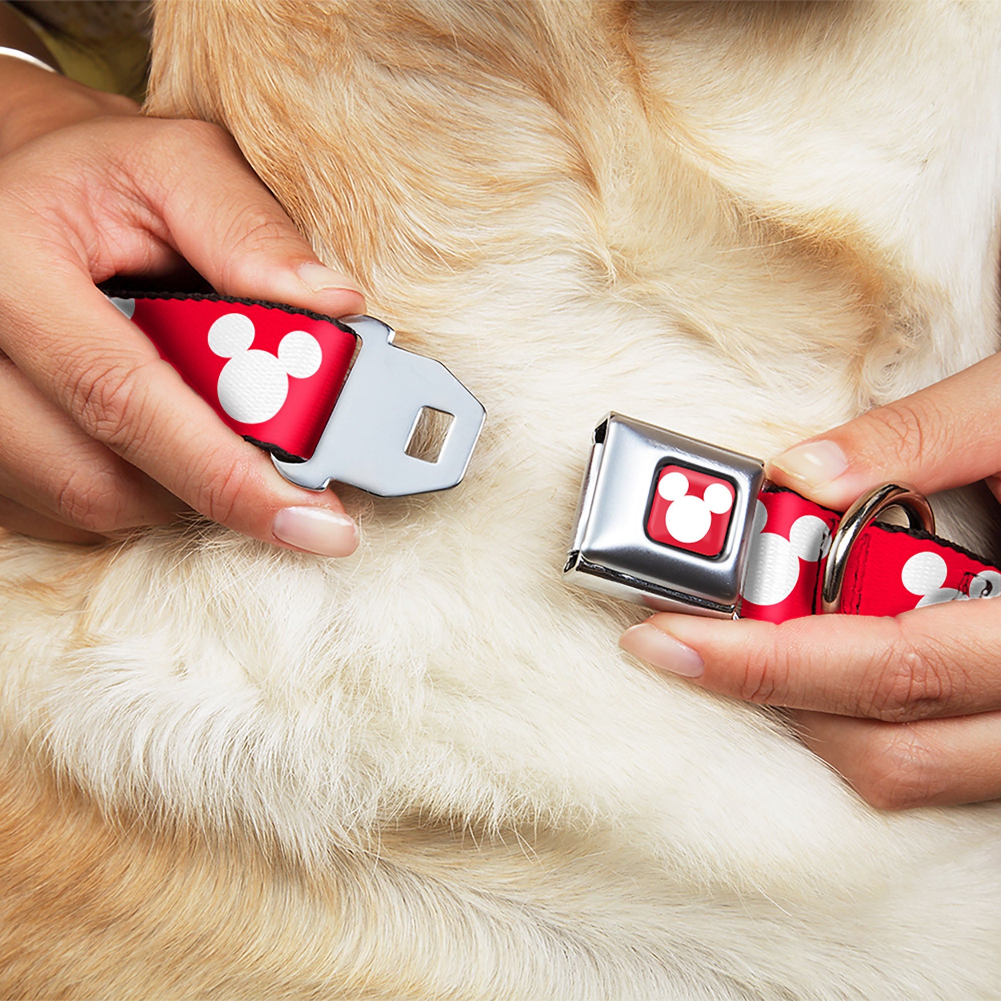 Mickey Mouse Ears Icon Full Color Red/White Seatbelt Buckle Collar - Mickey Mouse Ears Icon Red/White