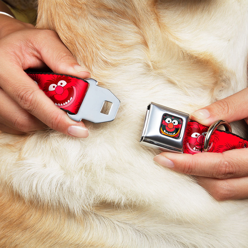 Muppets Animal Face Seatbelt Buckle Dog Collar