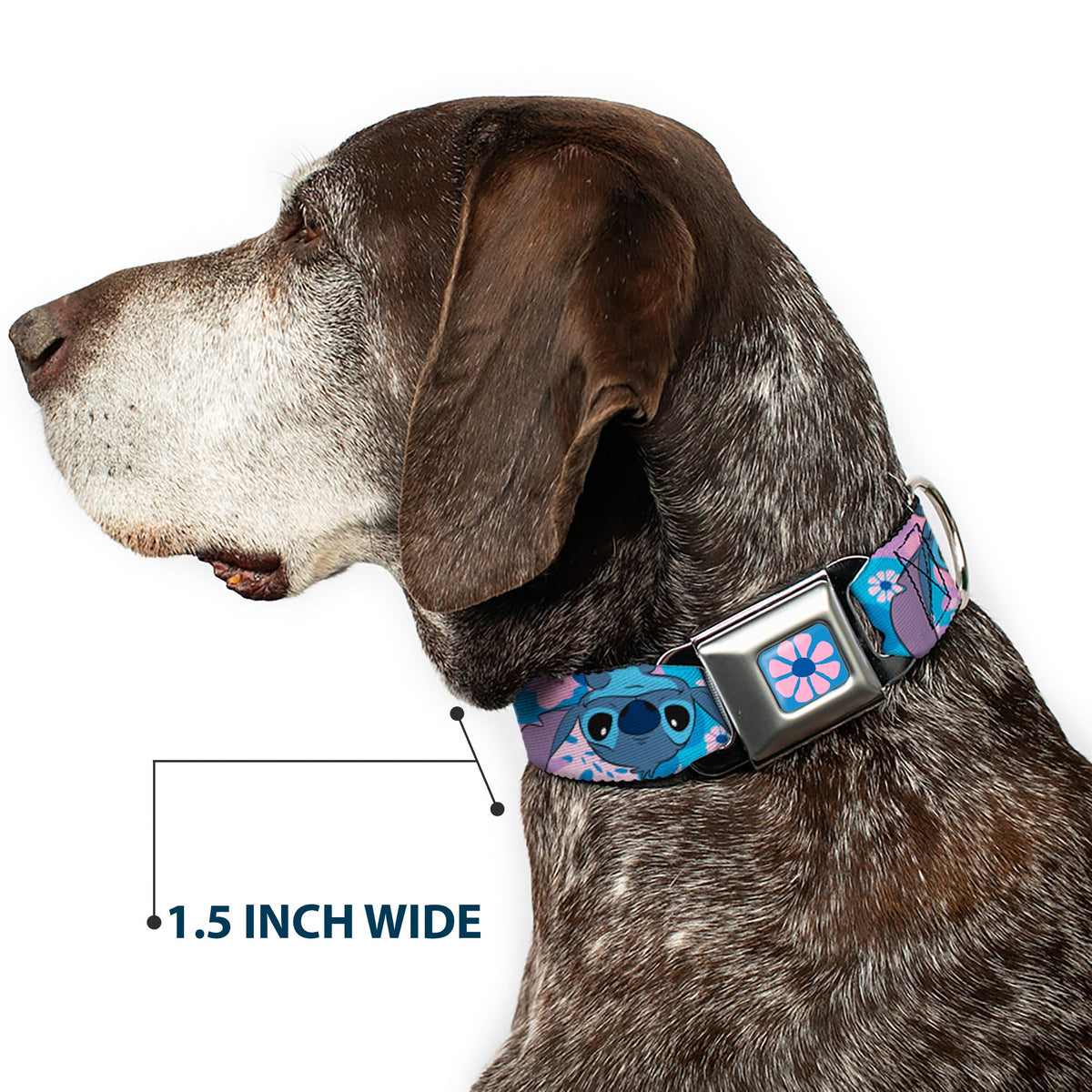Lilo & Stitch Flower Full Color Blues/Pink Seatbelt Buckle Collar - Lilo & Stitch Stitch Flip Expressions Close-Up Blues/Pinks