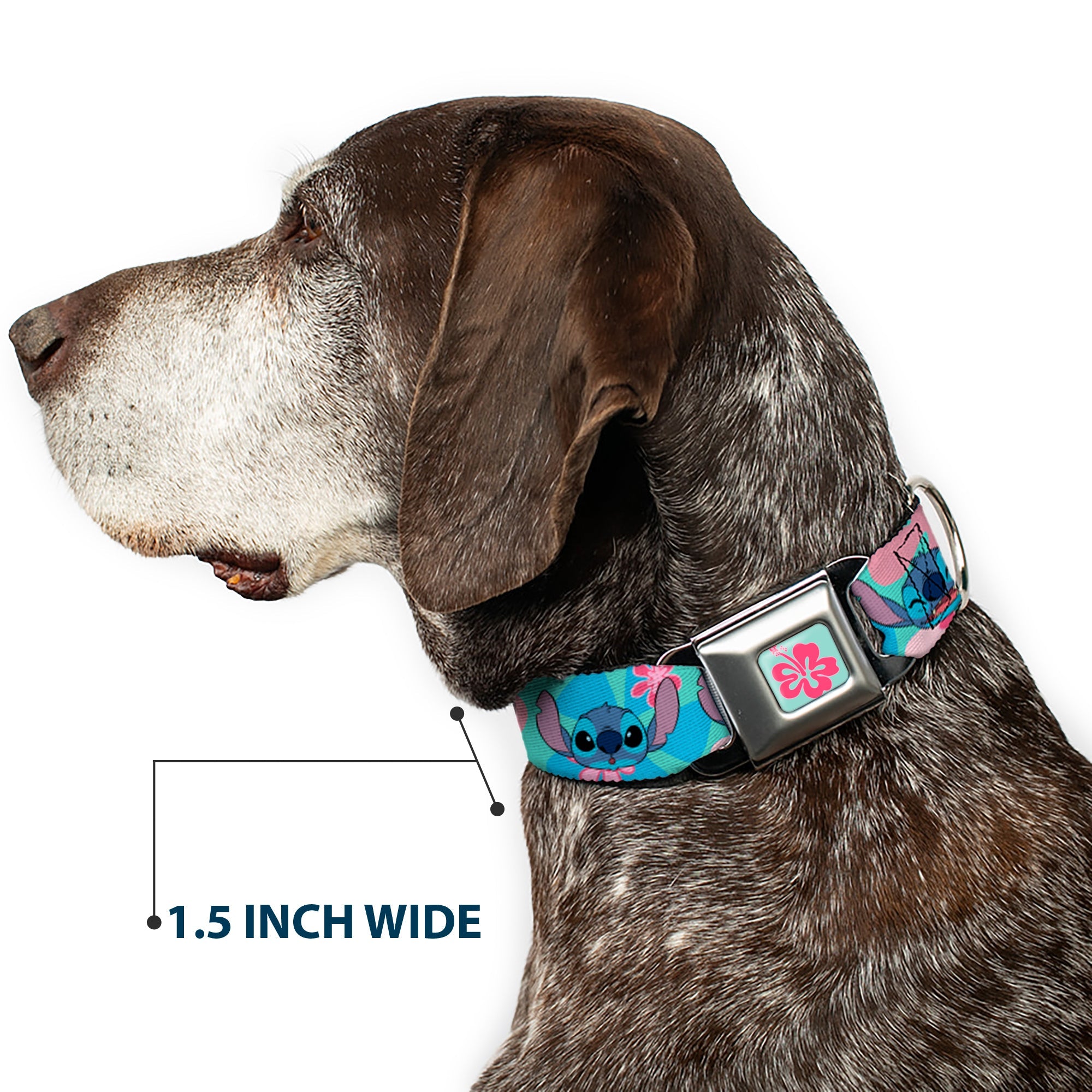 Lilo & Stitch Flower Full Color Blue/Pink Seatbelt Buckle Collar - Lilo & Stitch Stitch Expressions and Tropical Flowers Blues/Pinks