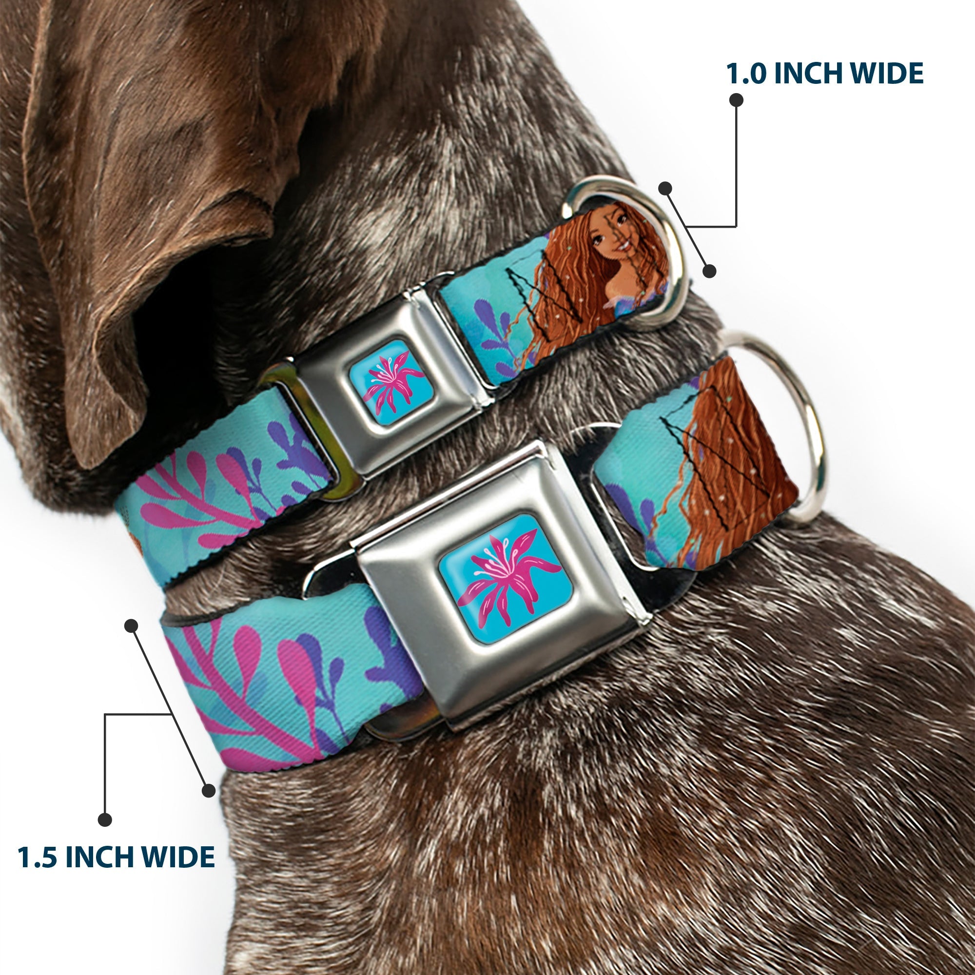 The Little Mermaid Sea Flower Full Color Blue/Purple Seatbelt Buckle Collar - The Little Mermaid Live Action Ariel Under the Sea Poses Blues