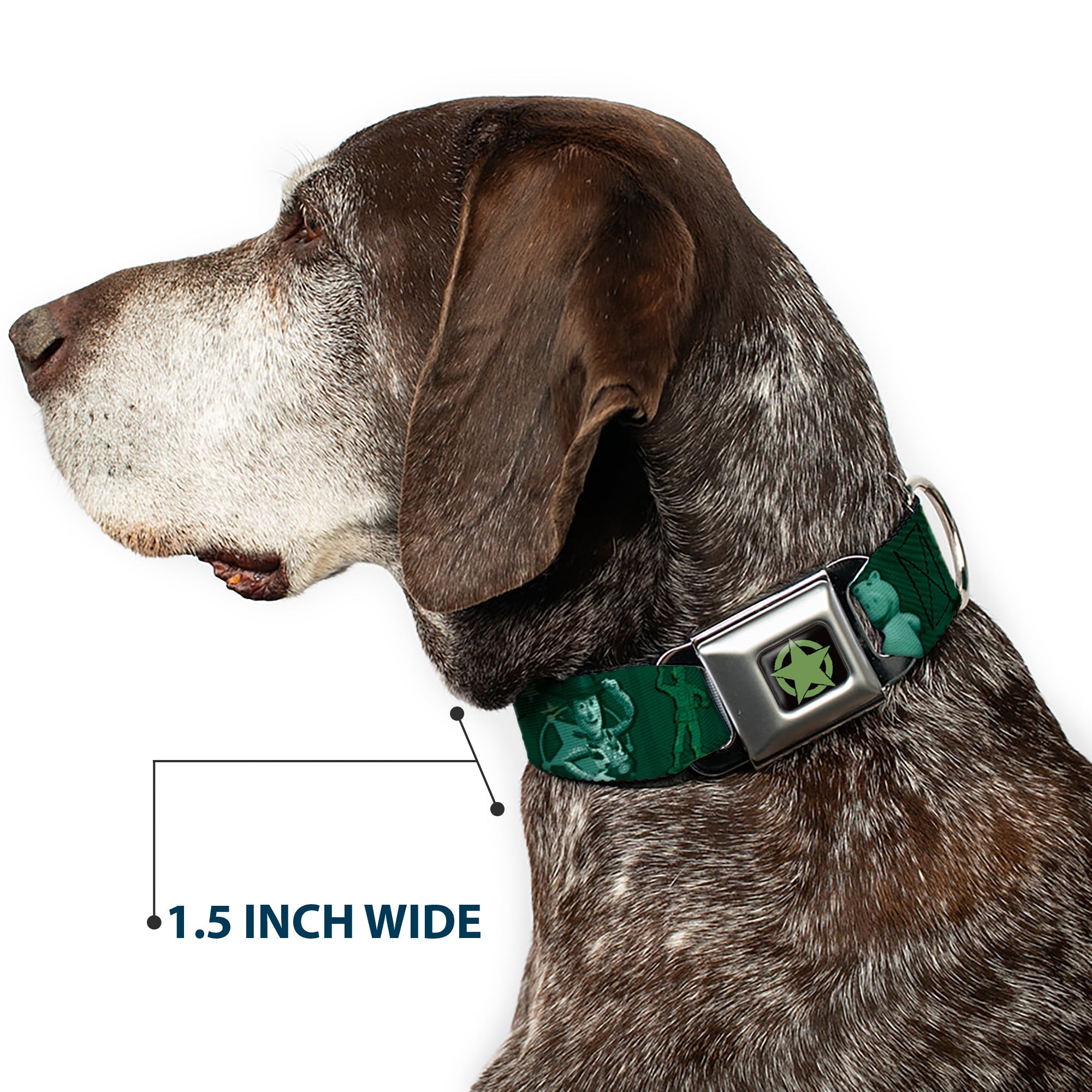 Toy Story Star Icon Full Color Black/Green Seatbelt Buckle Collar - Woody & Friends KEEP CALM & REACH FOR THE SKY Blues