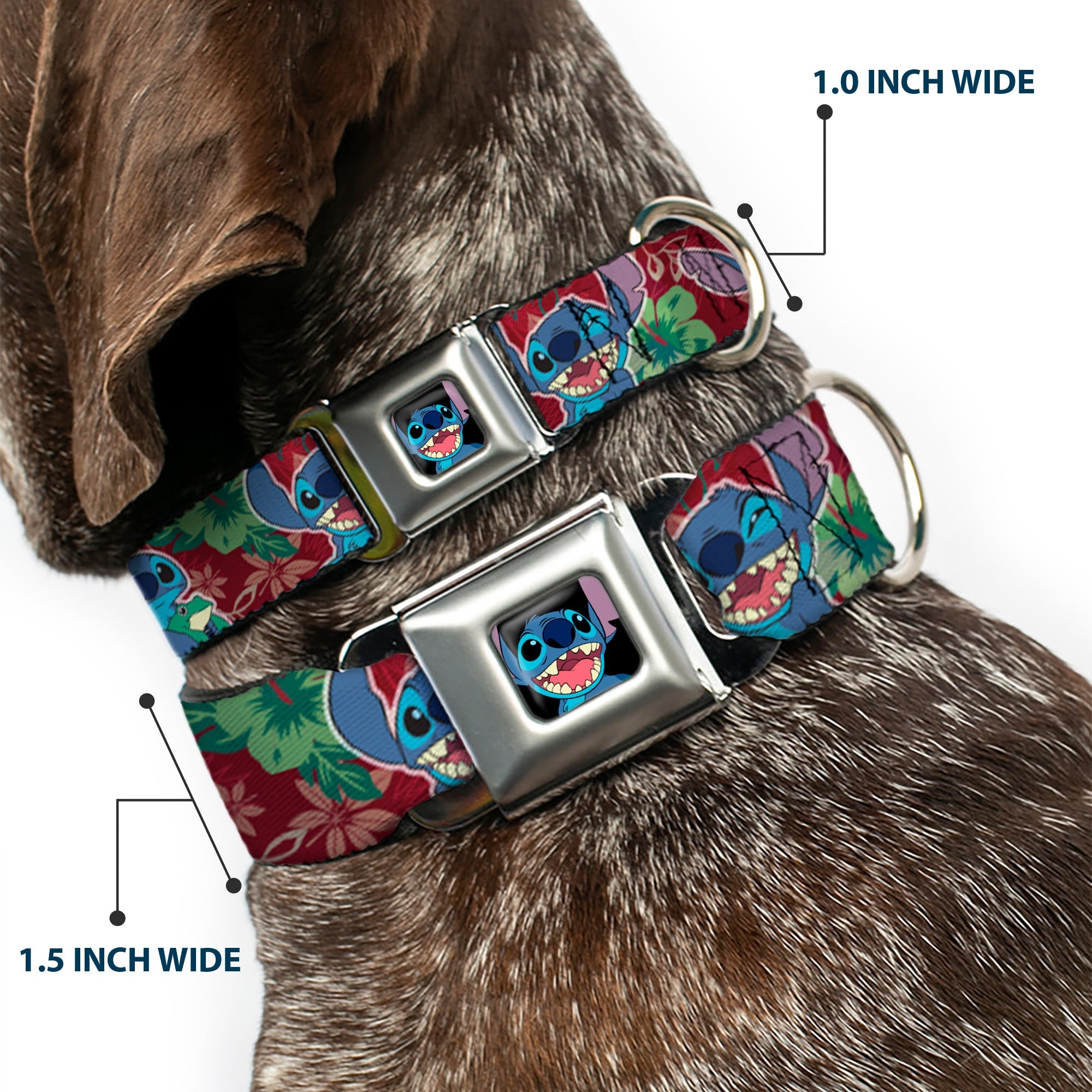 Stitch Smiling CLOSE-UP Full Color Black Seatbelt Buckle Collar - Stitch 6-Expressions Tropical Flora Burgundy Reds/Greens