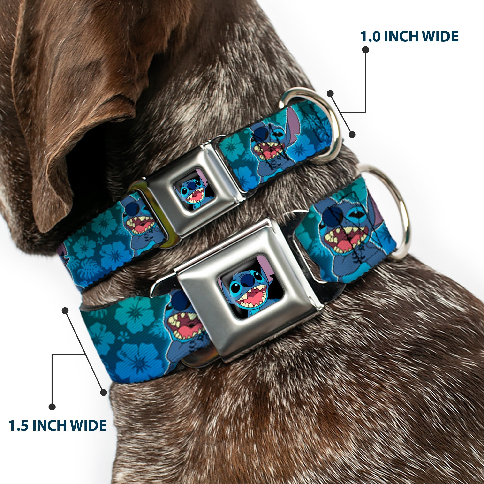 Stitch Smiling CLOSE-UP Full Color Black Seatbelt Buckle Collar - Stitch Expressions/Hibiscus Collage Green-Blue Fade