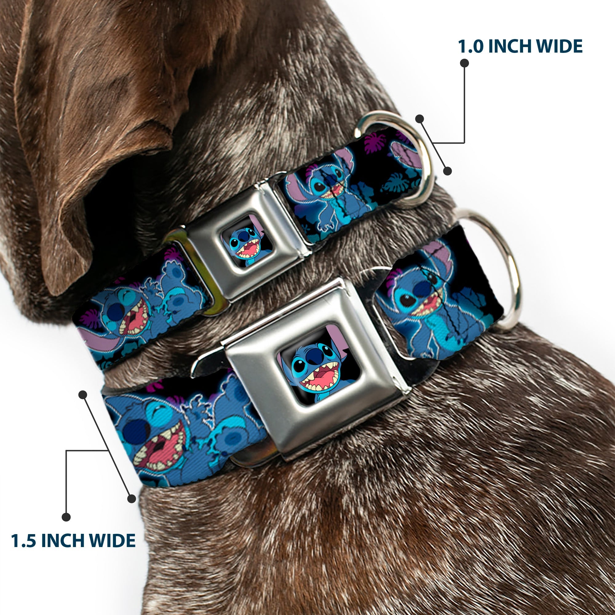 Stitch Smiling CLOSE-UP Full Color Seatbelt Buckle Collar - Stitch 2-Expressions/2-Poses Tropical Flora Black/Purple-Blue Fade