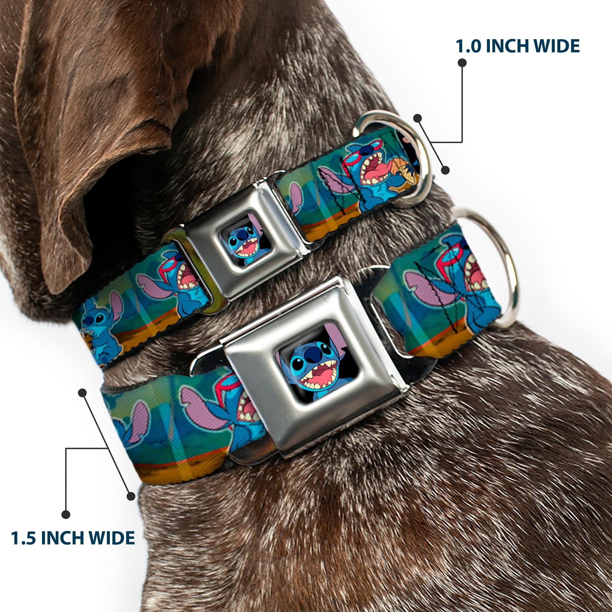 Stitch Smiling CLOSE-UP Full Color Black Seatbelt Buckle Collar - Lilo & Stitch 5-Scene Blocks