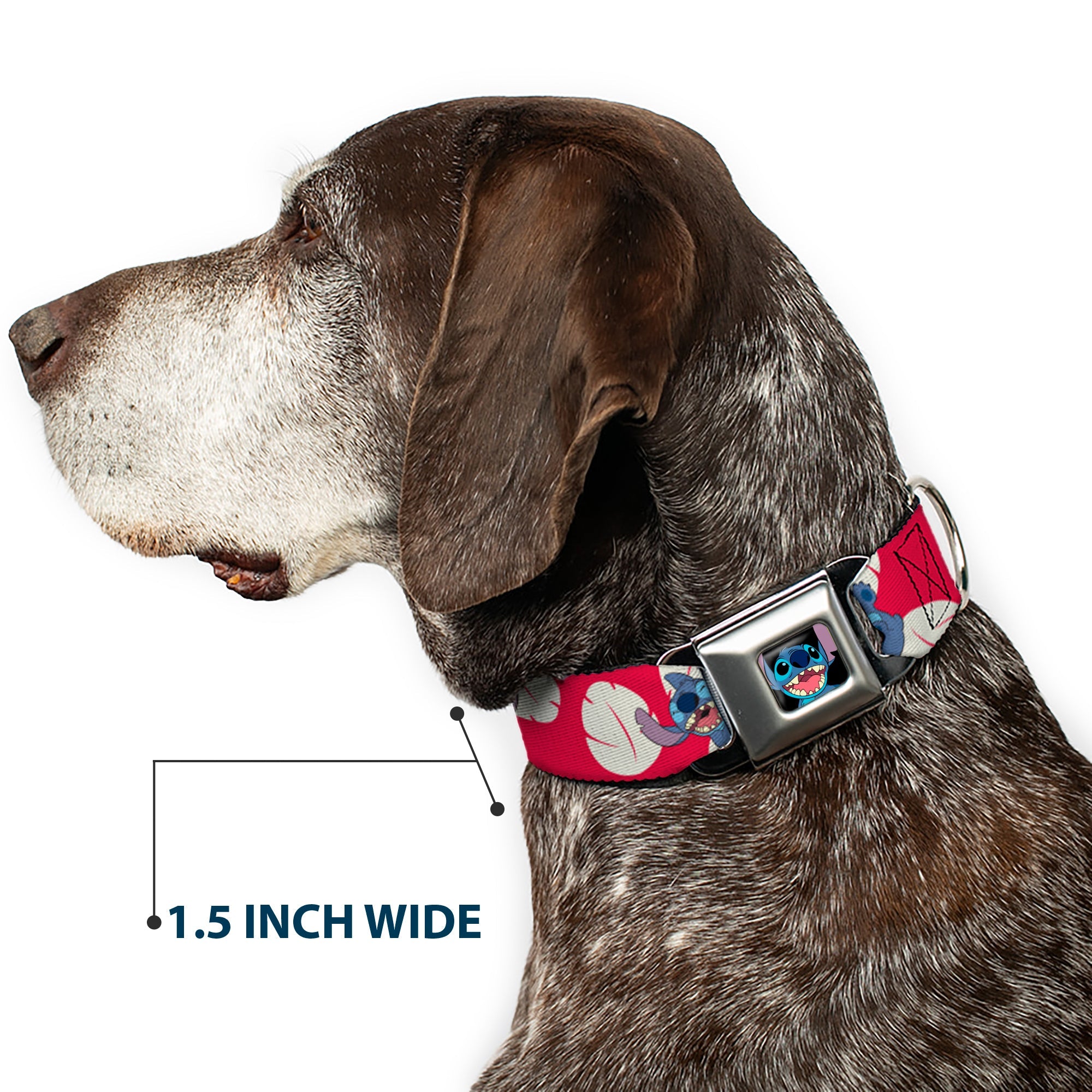Stitch Smiling Full Color CLOSE-UP Seatbelt Buckle Collar - Lilo & Stitch Stitch 4-Poses/Lilo Dress Leaves Red/Ivory