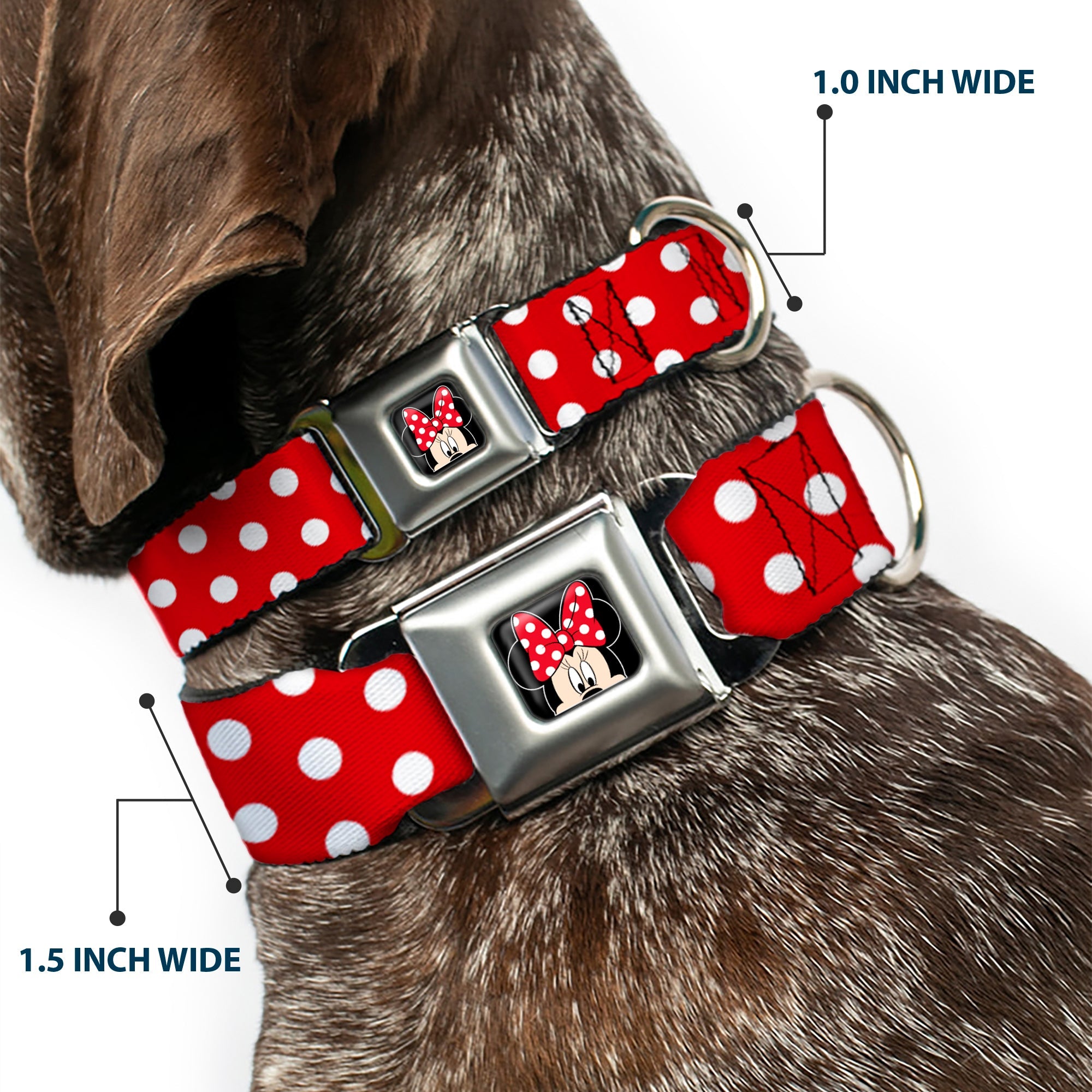 Minnie Mouse w Bow CLOSE-UP Full Color Black Red White Seatbelt Buckle Collar - Minnie Mouse Polka Dots Red/White