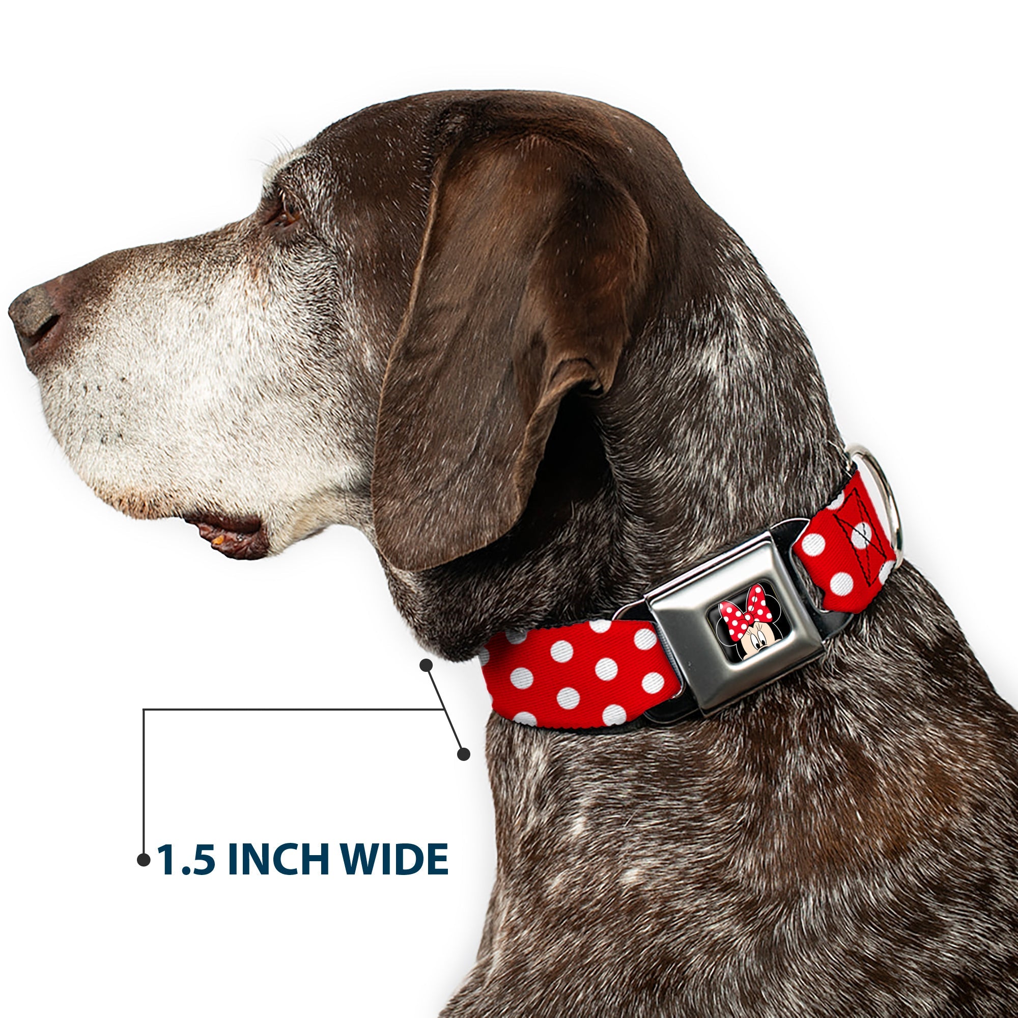 Minnie Mouse w Bow CLOSE-UP Full Color Black Red White Seatbelt Buckle Collar - Minnie Mouse Polka Dots Red/White
