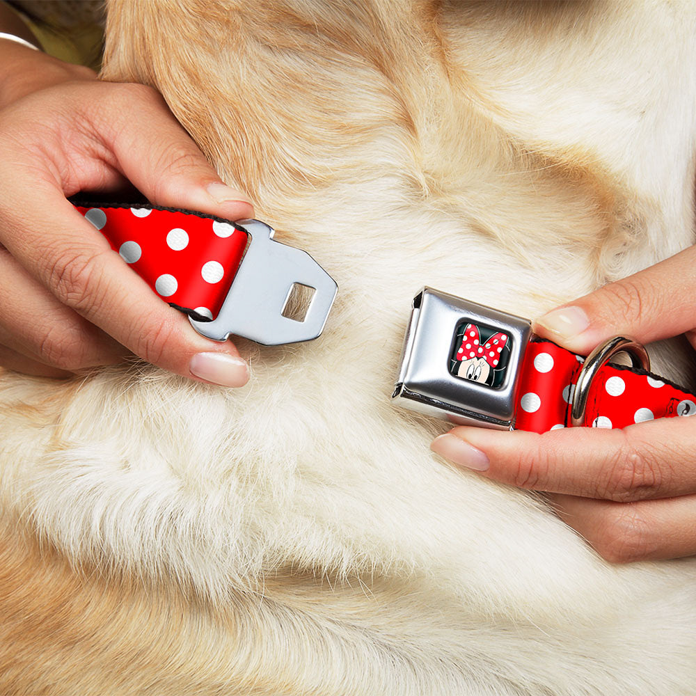 Minnie Mouse w Bow CLOSE-UP Full Color Black Red White Seatbelt Buckle Collar - Minnie Mouse Polka Dots Red/White