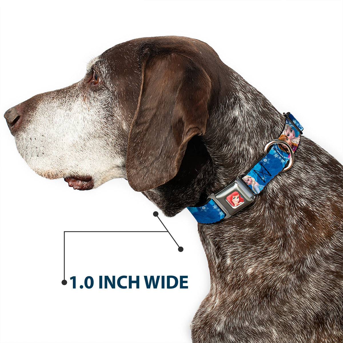 Frozen Elsa the Snow Queen Pose Snowflakes Full Color Blue White Seatbelt Buckle Collar - Anna & Elsa Poses/Castle & Mountains Blues