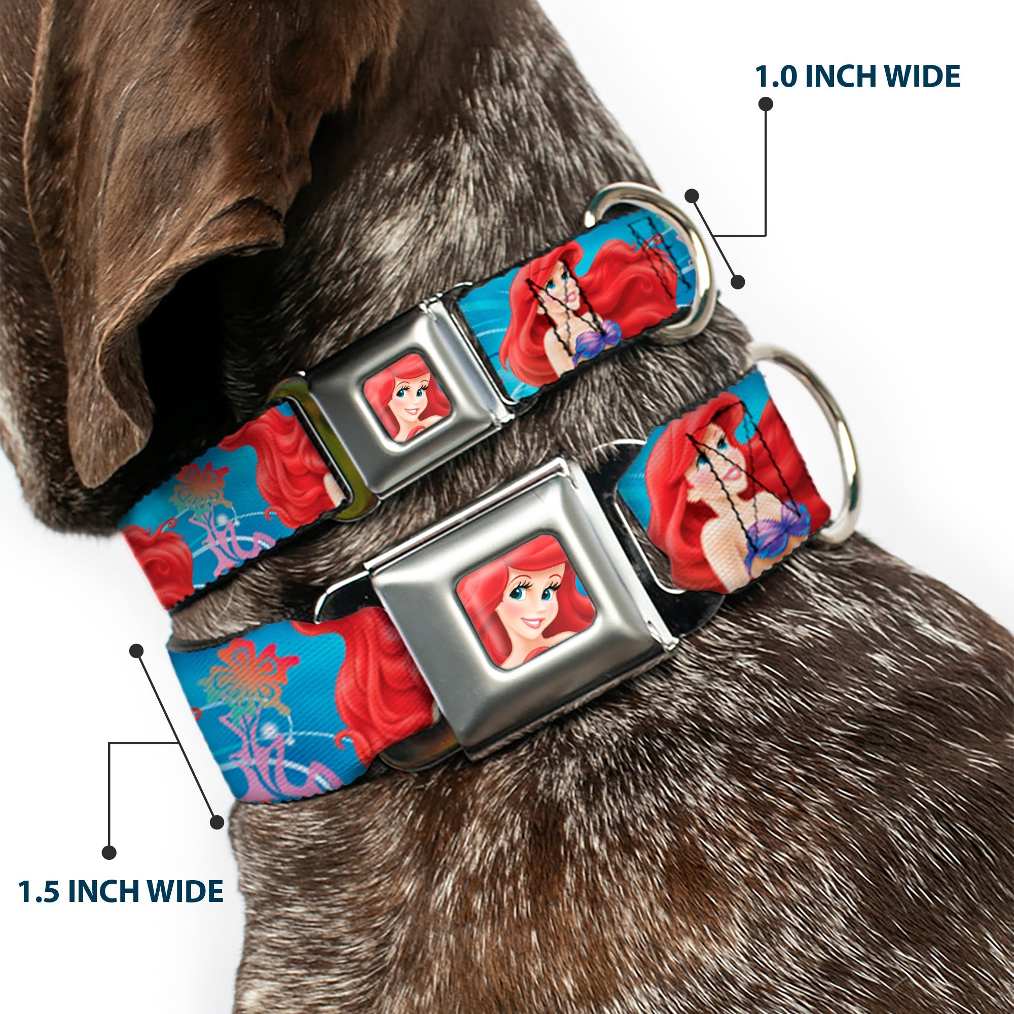 Ariel Face3 Full Color Blue Seatbelt Buckle Collar - Ariel & Flounder Vivid Underwater Poses