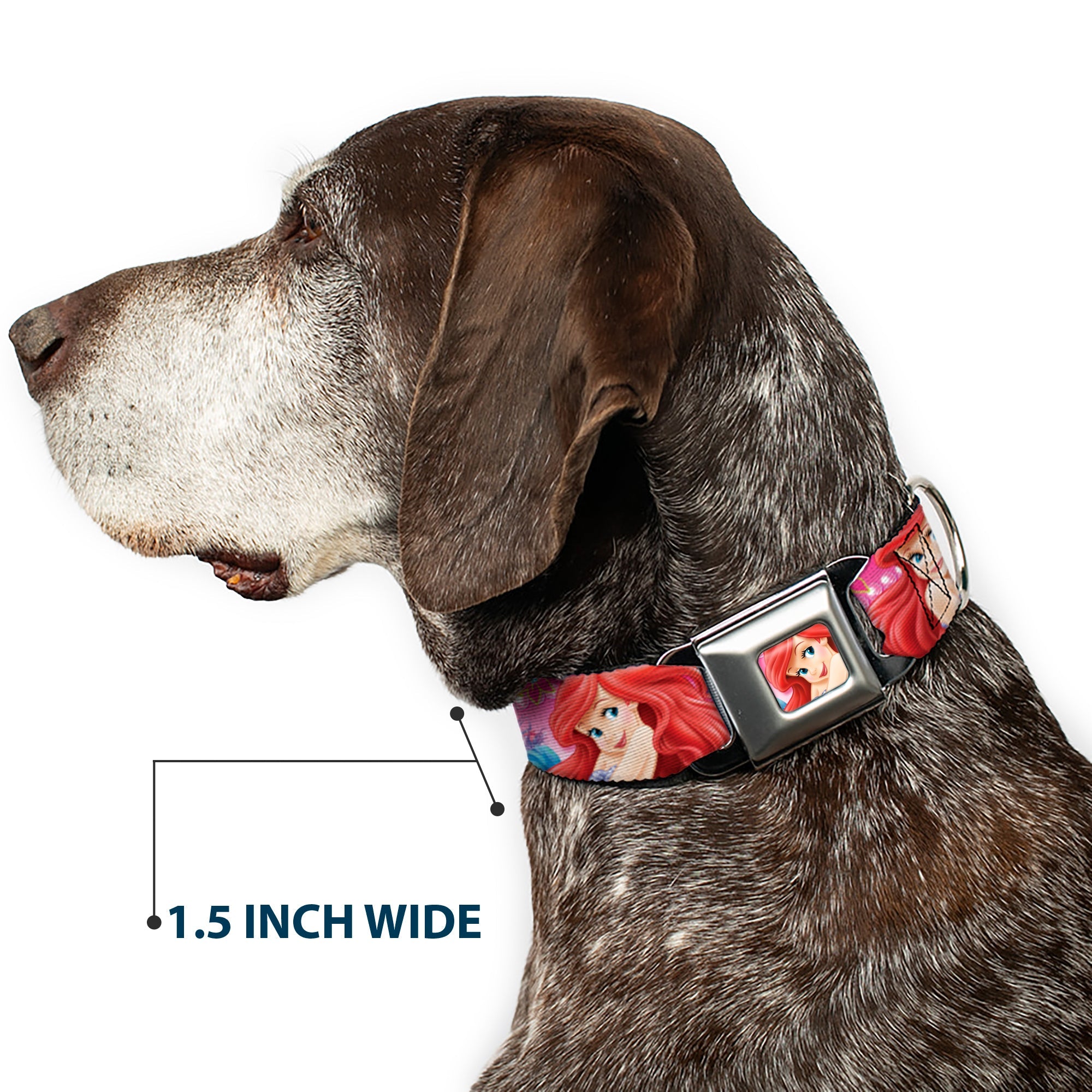 Ariel Face4 Full Color Pink Blue Seatbelt Buckle Collar - Ariel/Flounder/Fish Trio Poses Pinks