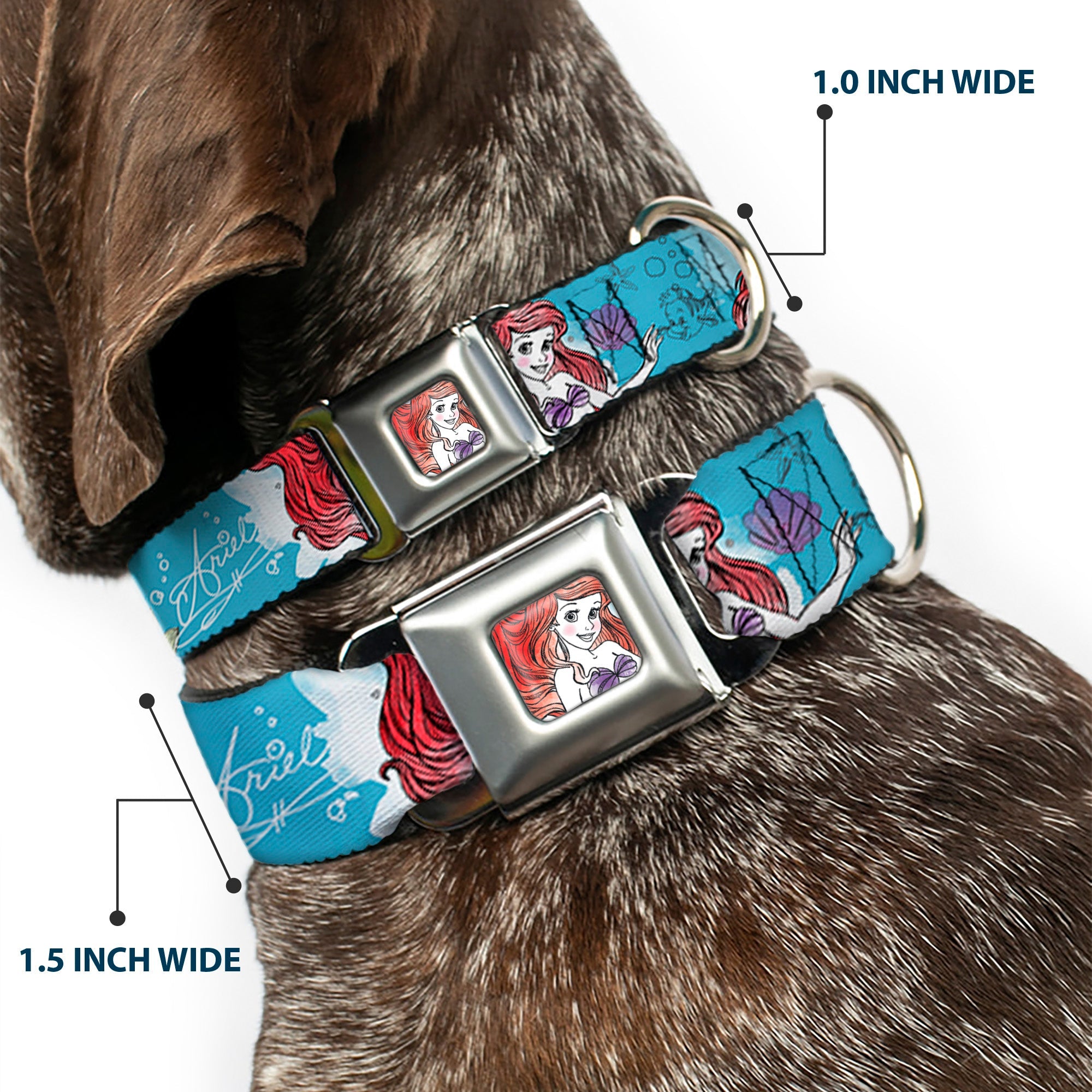 Ariel Face4 Full Color Pink Blue Seatbelt Buckle Collar - ARIEL Sketch Poses Blues/Lavender