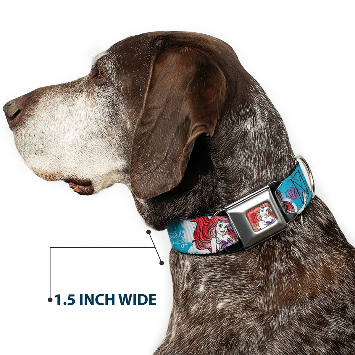 Ariel Face4 Full Color Pink Blue Seatbelt Buckle Collar - ARIEL Sketch Poses Blues/Lavender