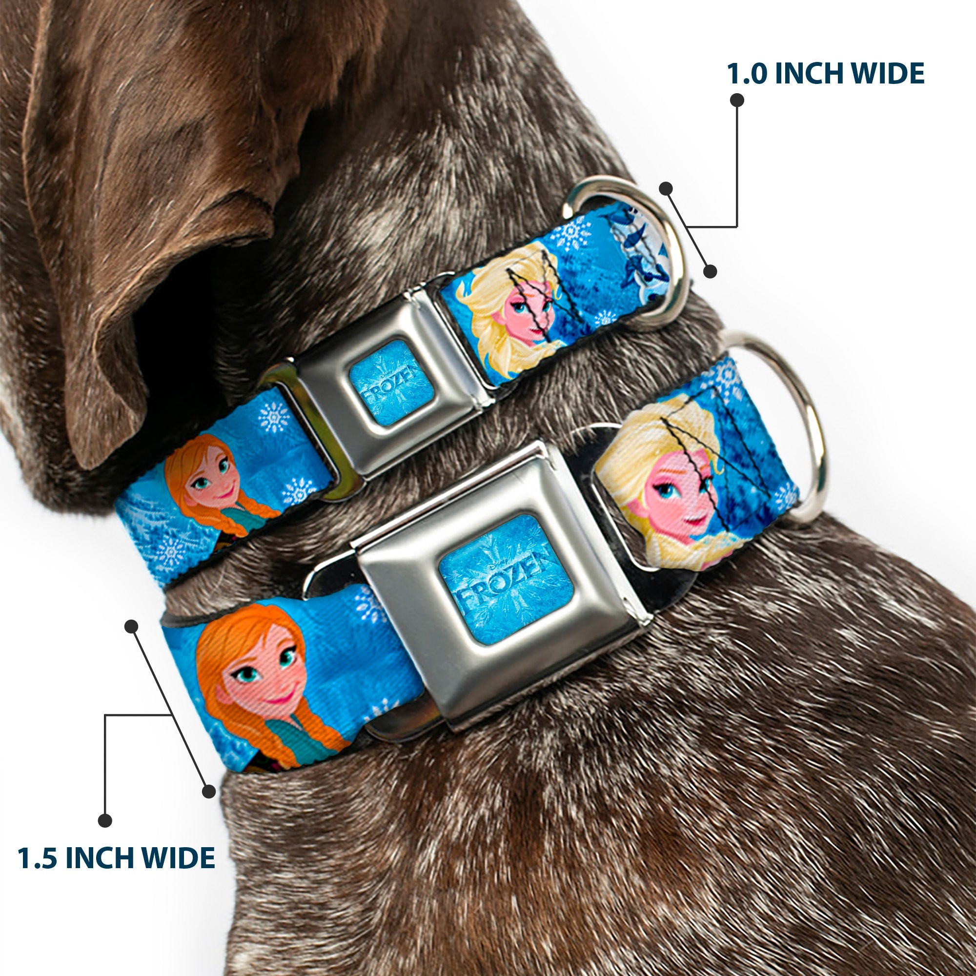 FROZEN Logo Full Color Blues Seatbelt Buckle Collar - Frozen Character Poses Blues