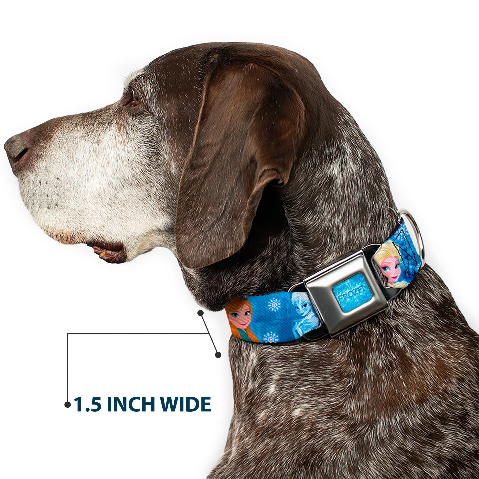 FROZEN Logo Full Color Blues Seatbelt Buckle Collar - Frozen Character Poses Blues
