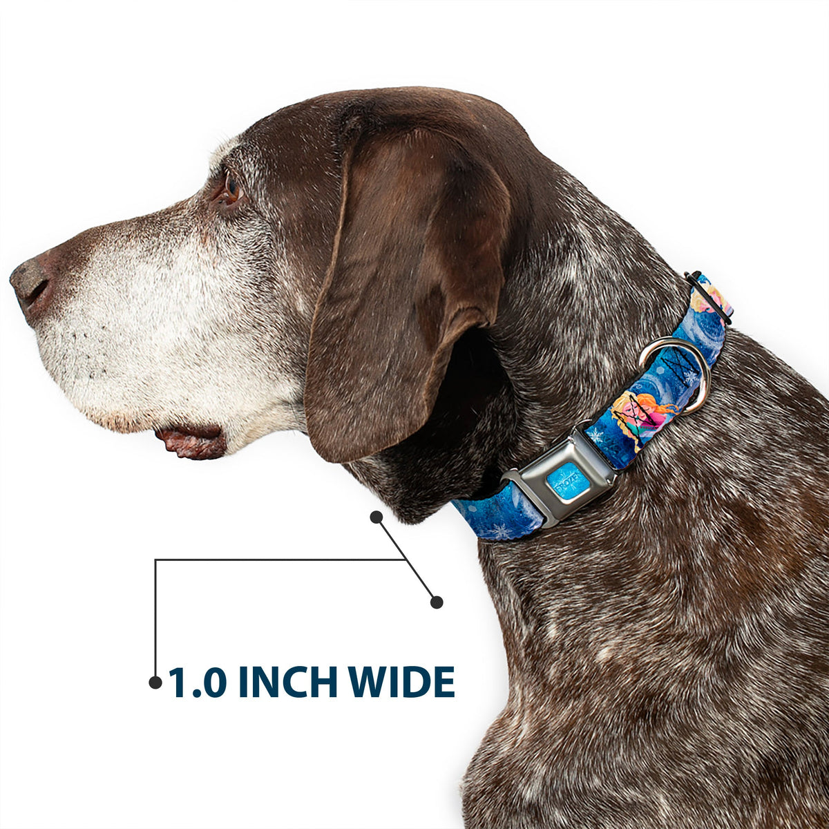 FROZEN Logo Full Color Blues Seatbelt Buckle Collar - Frozen Elsa the Snow Queen Poses/Snowflakes