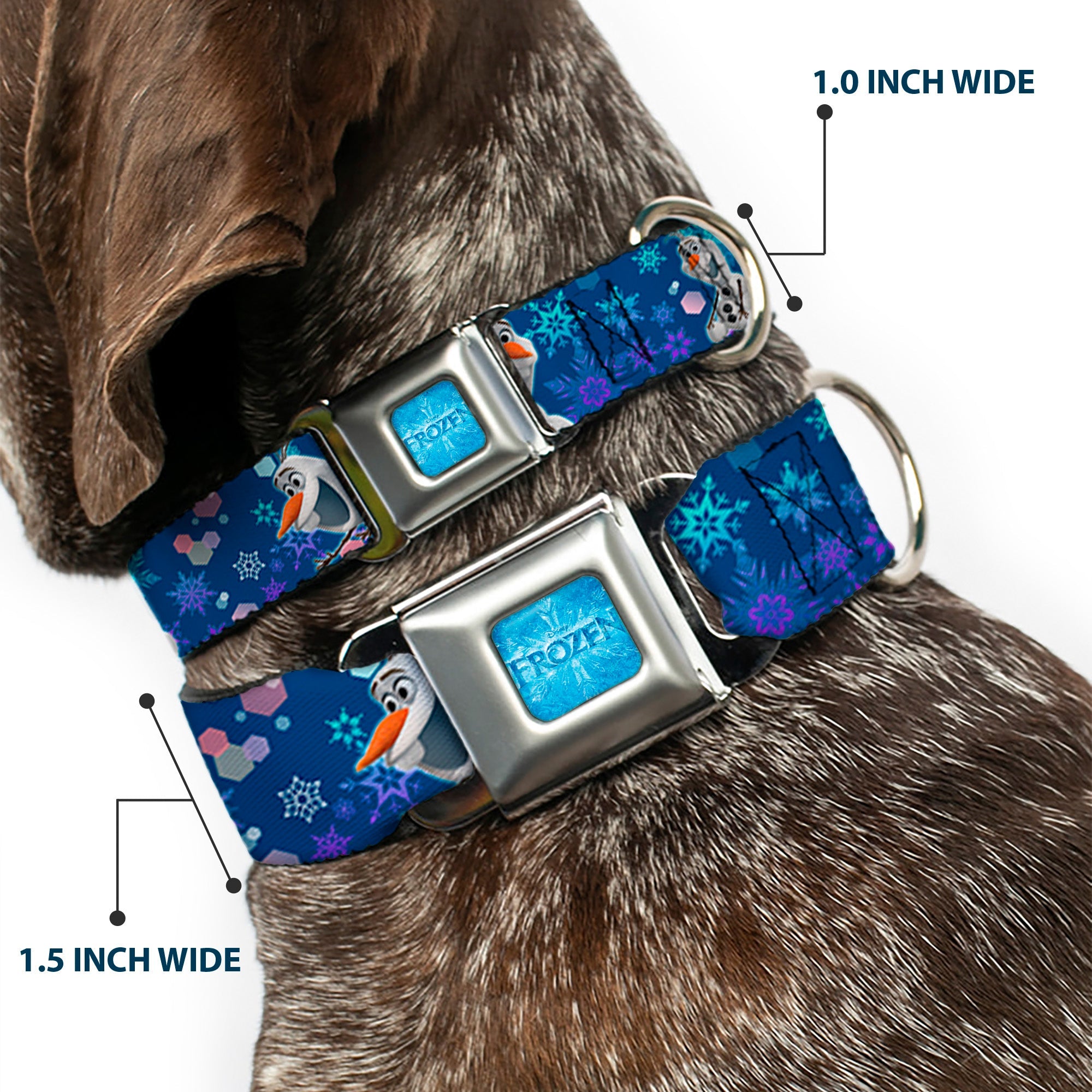 FROZEN Logo Full Color Blues Seatbelt Buckle Collar - Frozen Olaf Poses/Snowflakes Blues
