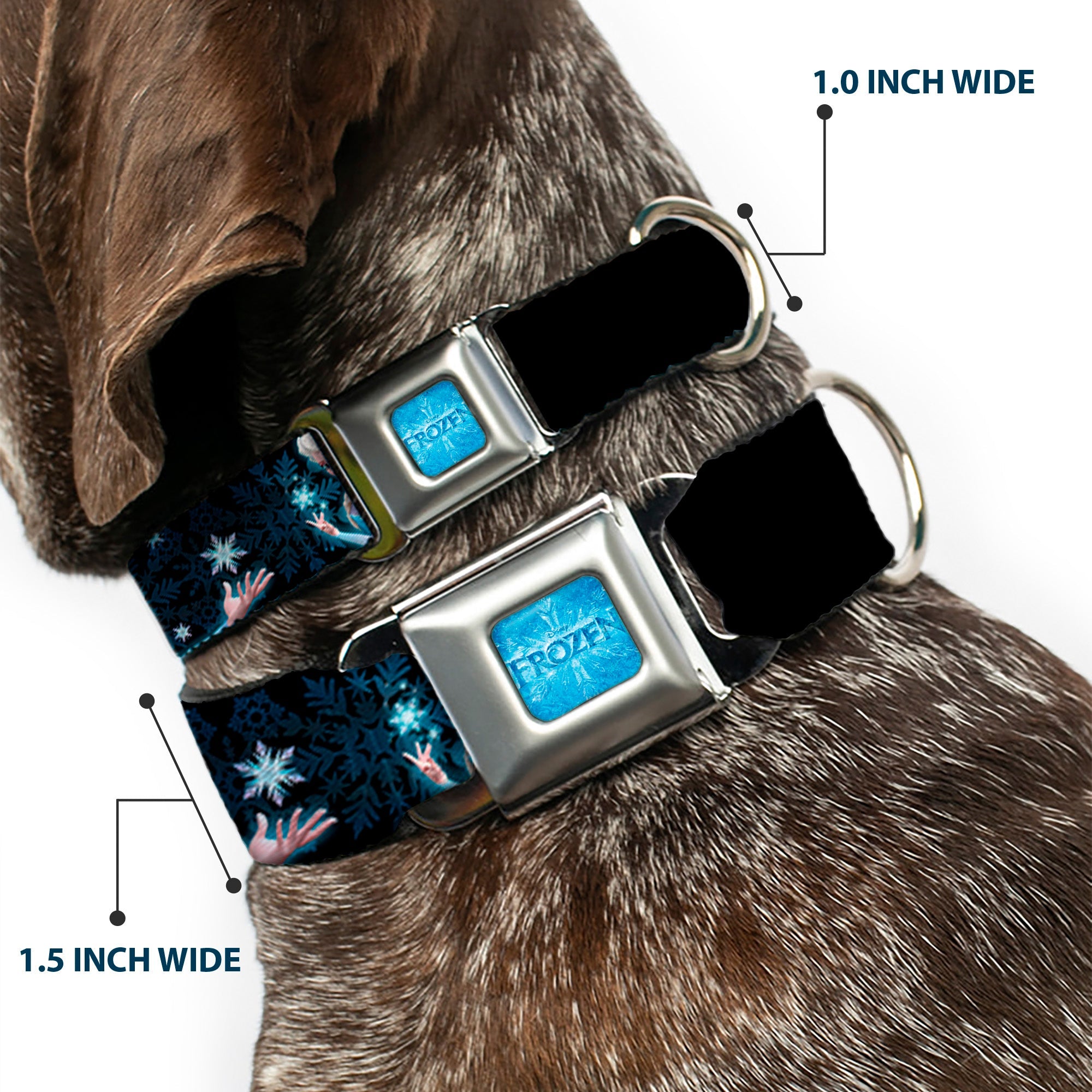 FROZEN Logo Full Color Blues Seatbelt Buckle Collar - Elsa the Snow Queen Poses PERFECT AND POWERFUL Blues/White