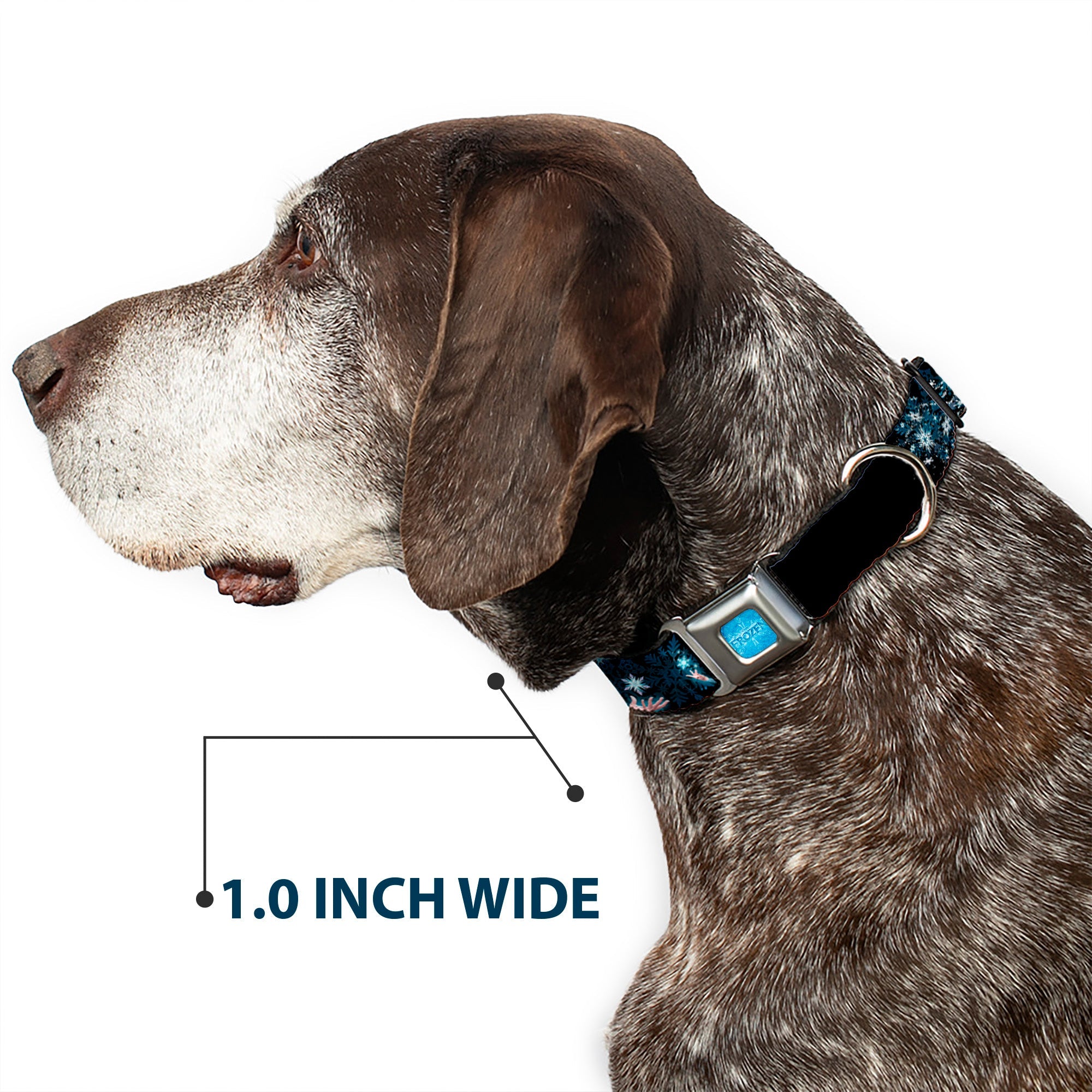 FROZEN Logo Full Color Blues Seatbelt Buckle Collar - Elsa the Snow Queen Poses PERFECT AND POWERFUL Blues/White