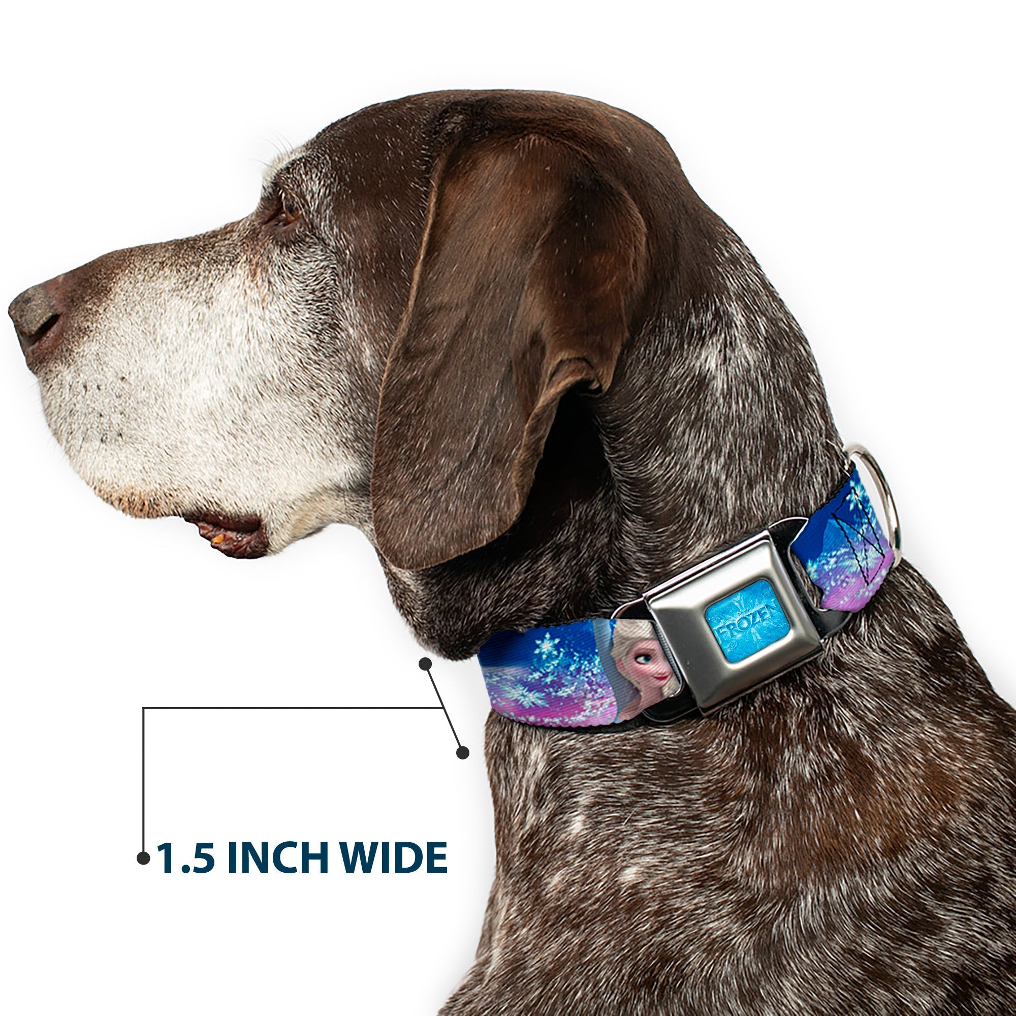 FROZEN Logo Full Color Blues Seatbelt Buckle Collar - Elsa the Snow Queen Poses/Castle & Snowy Mountains Blue-Pink Fade