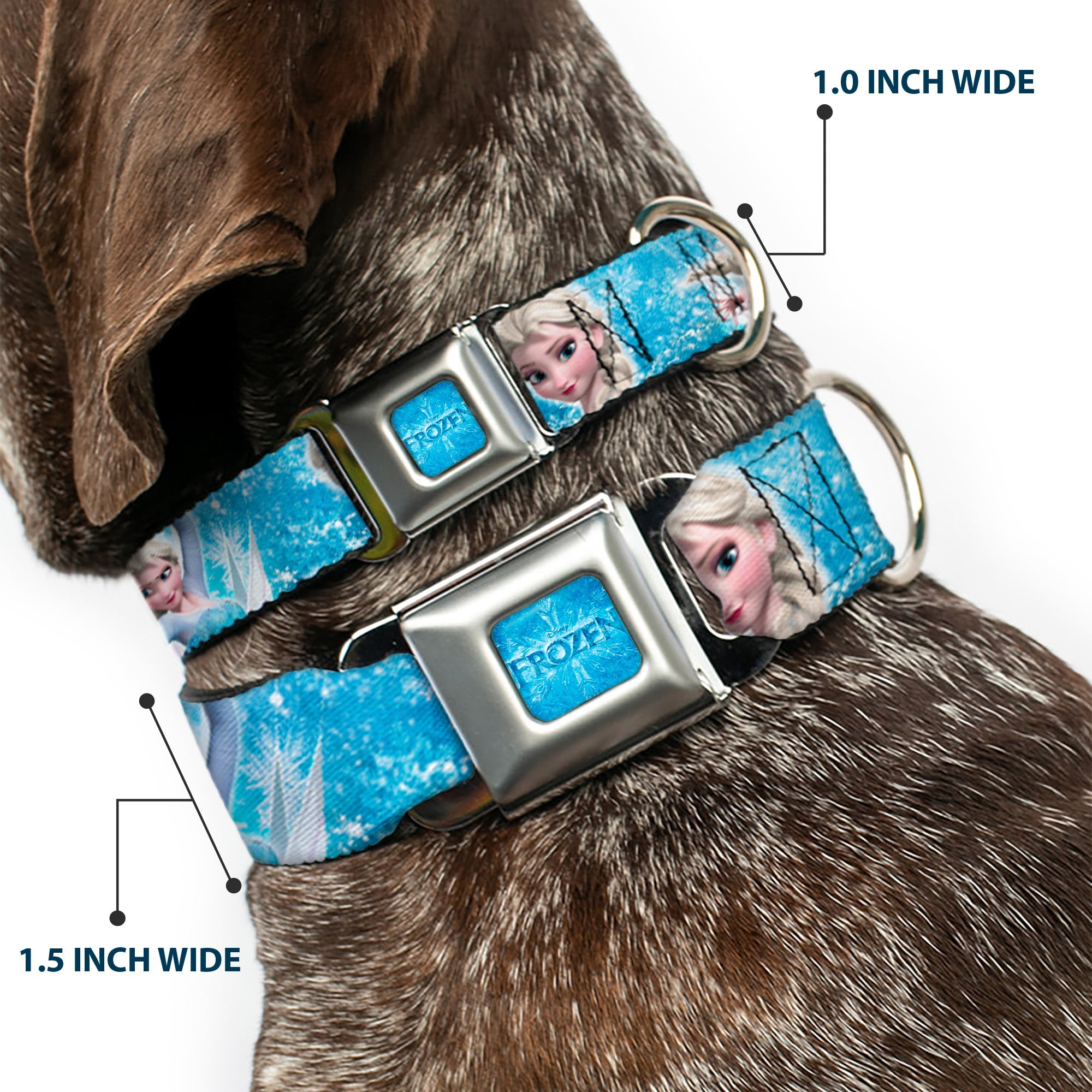 FROZEN Logo Full Color Blues Seatbelt Buckle Collar - Frozen Elsa Face/Action Pose/Snowflakes Blues/White