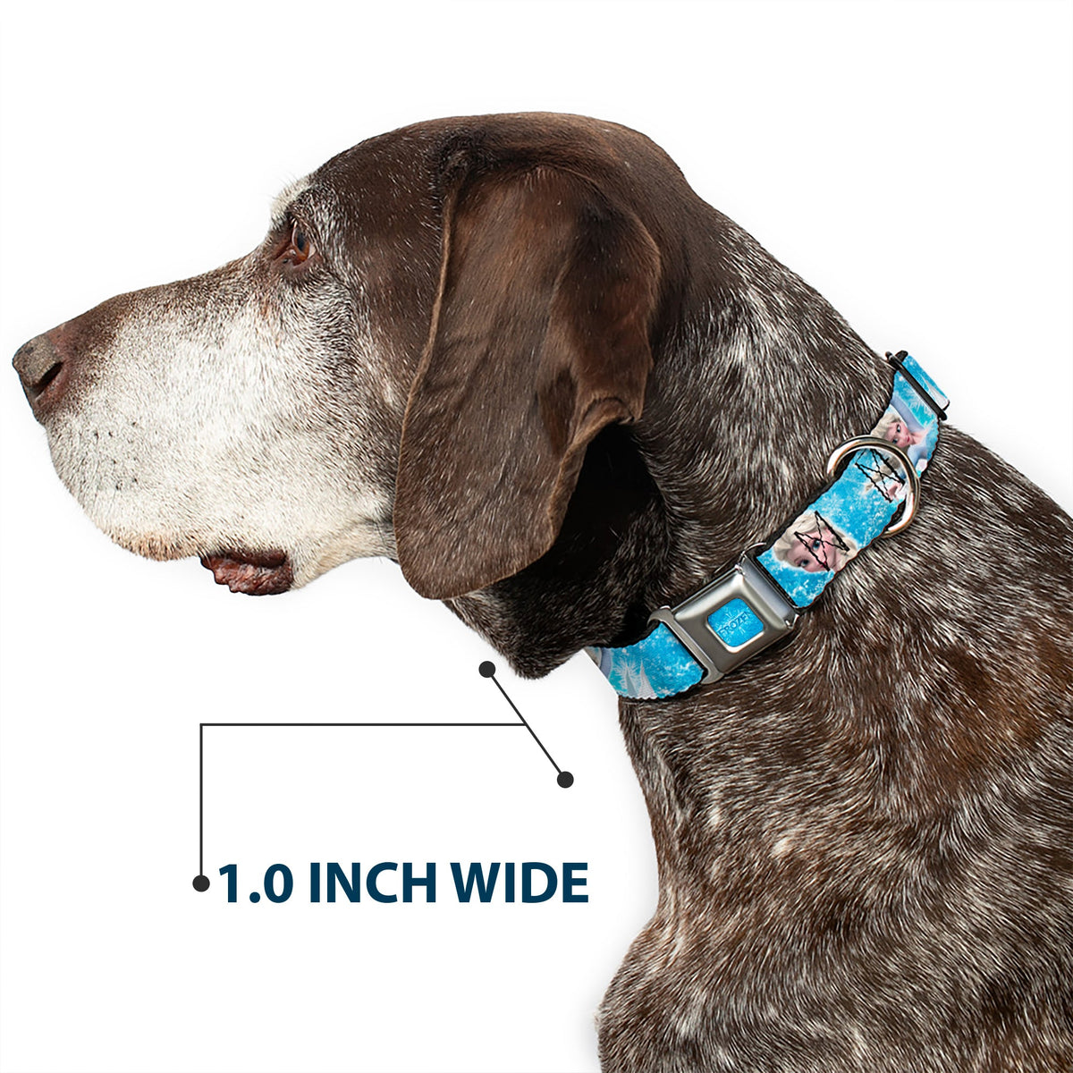 FROZEN Logo Full Color Blues Seatbelt Buckle Collar - Frozen Elsa Face/Action Pose/Snowflakes Blues/White