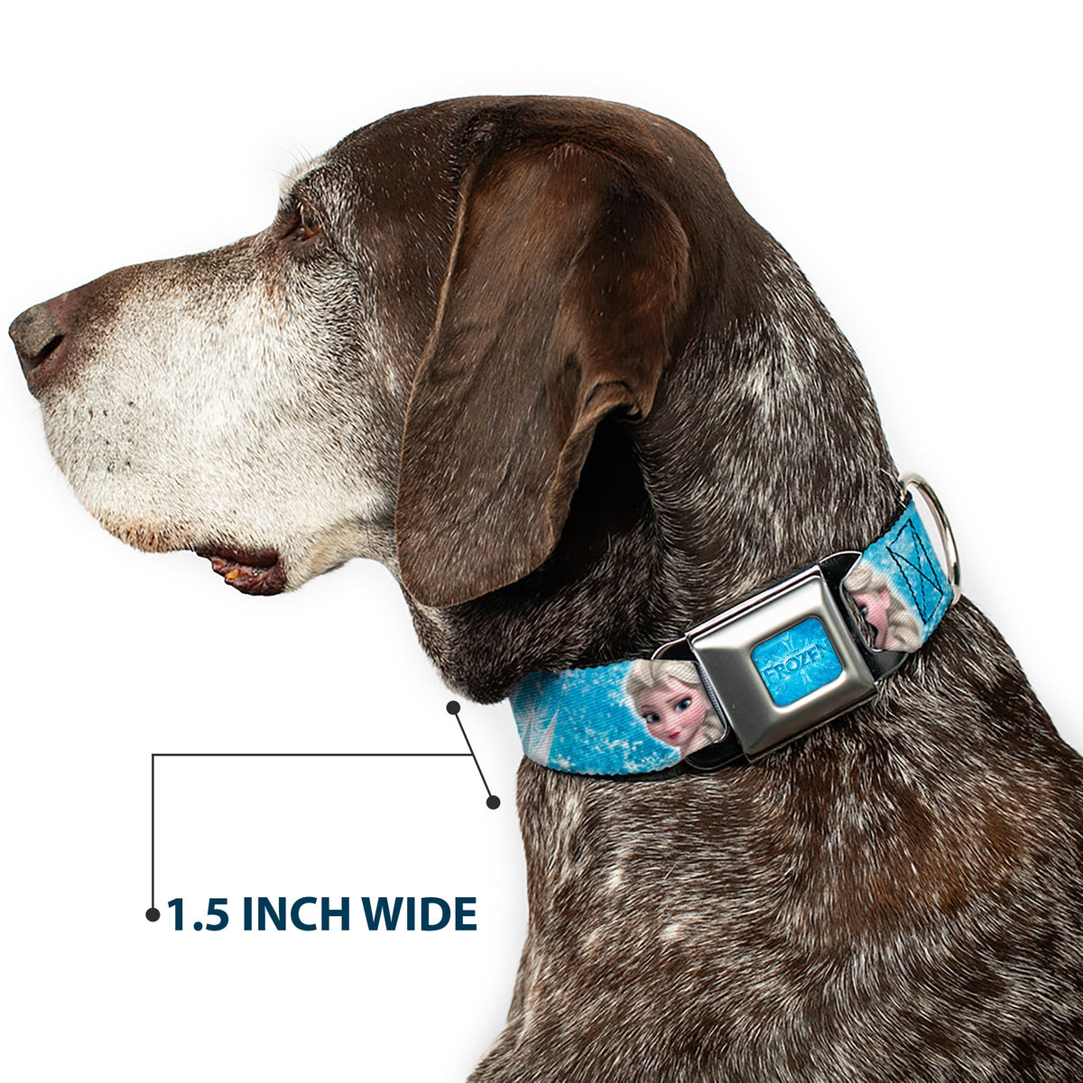 FROZEN Logo Full Color Blues Seatbelt Buckle Collar - Frozen Elsa Face/Action Pose/Snowflakes Blues/White