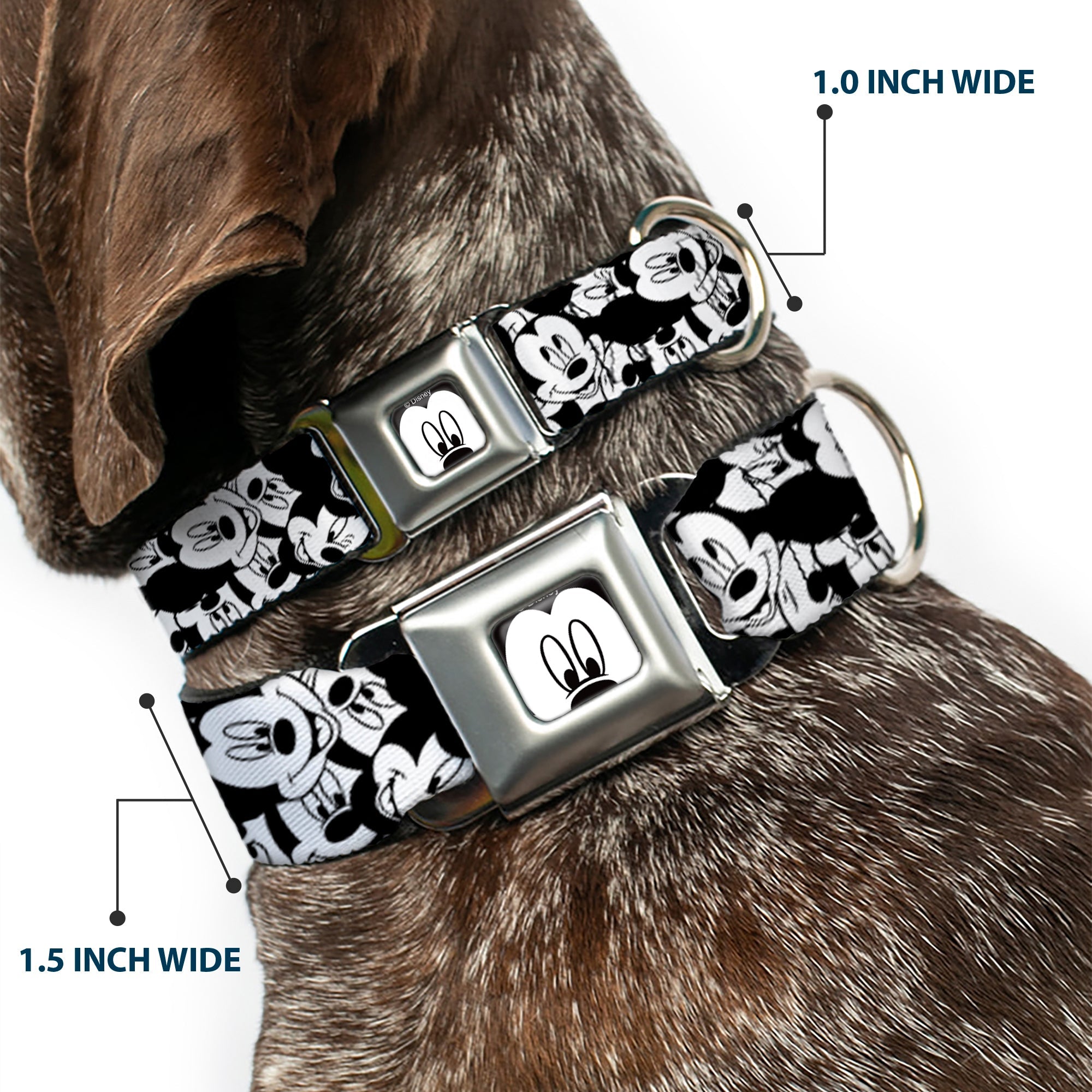 Mickey Mouse Face CLOSE-UP Full Color White Black Seatbelt Buckle Collar - Mickey Mouse Expressions Stacked White/Black