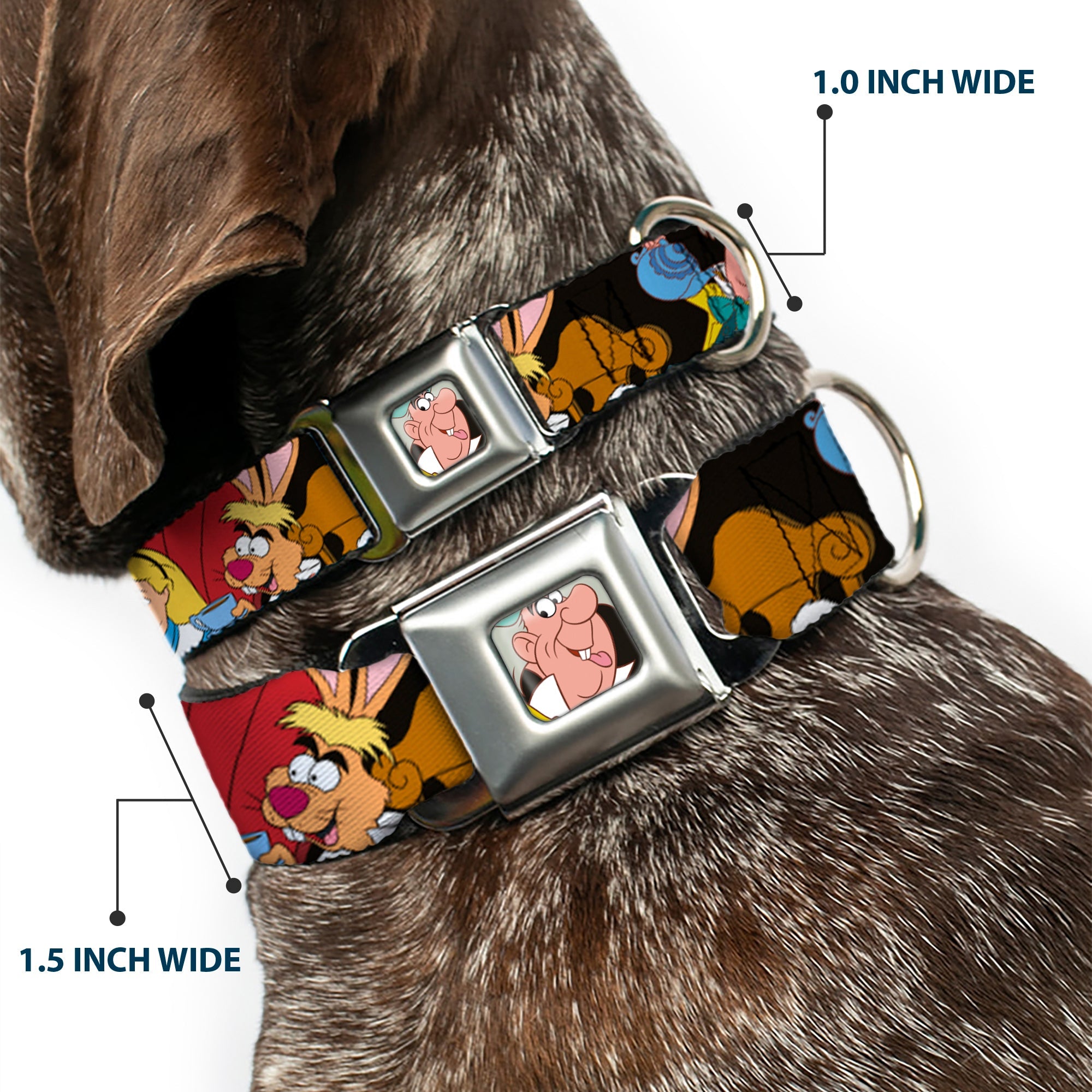 Mad Hatter Face Full Color Seatbelt Buckle Collar - Mad Hatters Tea Party Poses