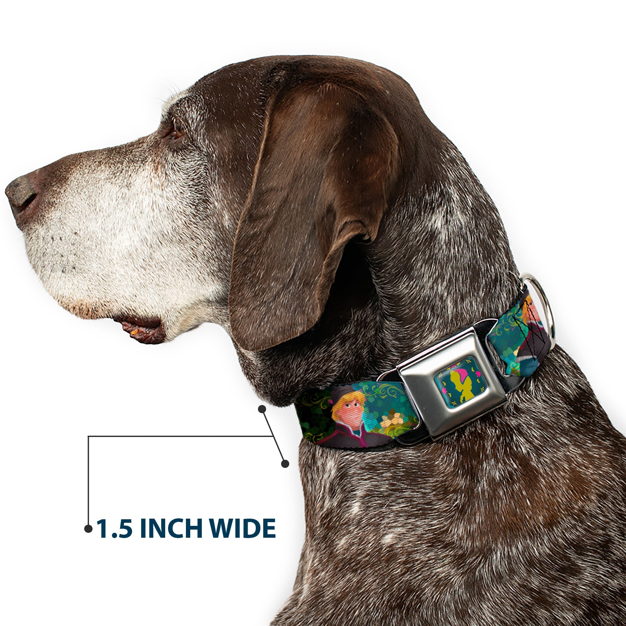 Anna Silhouette Full Color Blues Green Pink Seatbelt Buckle Collar - Anna & Hans/Anna & Kristoff Poses