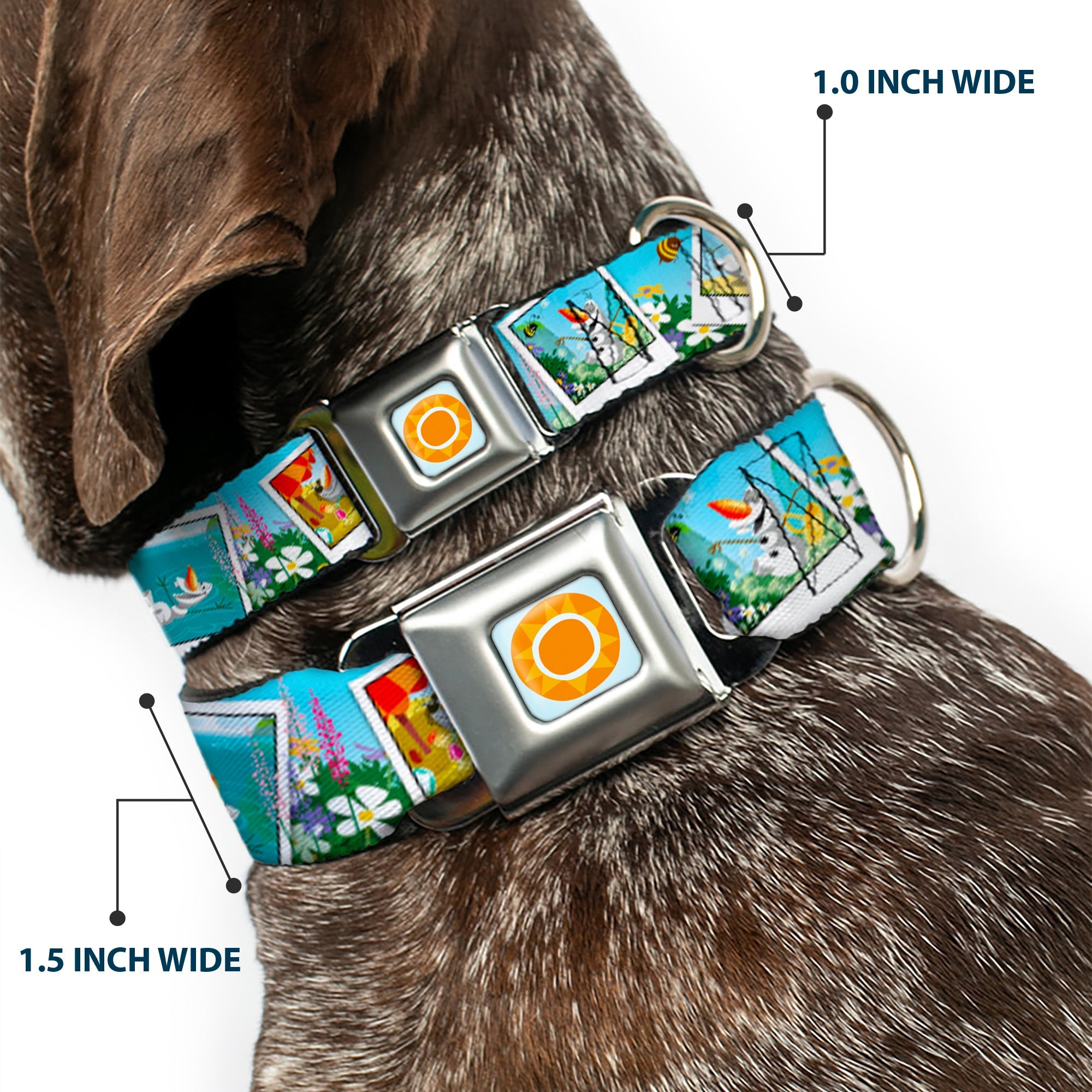 Frozen Sun Full Color Blue/Yellows Seatbelt Buckle Collar - Olaf Summertime Snapshots