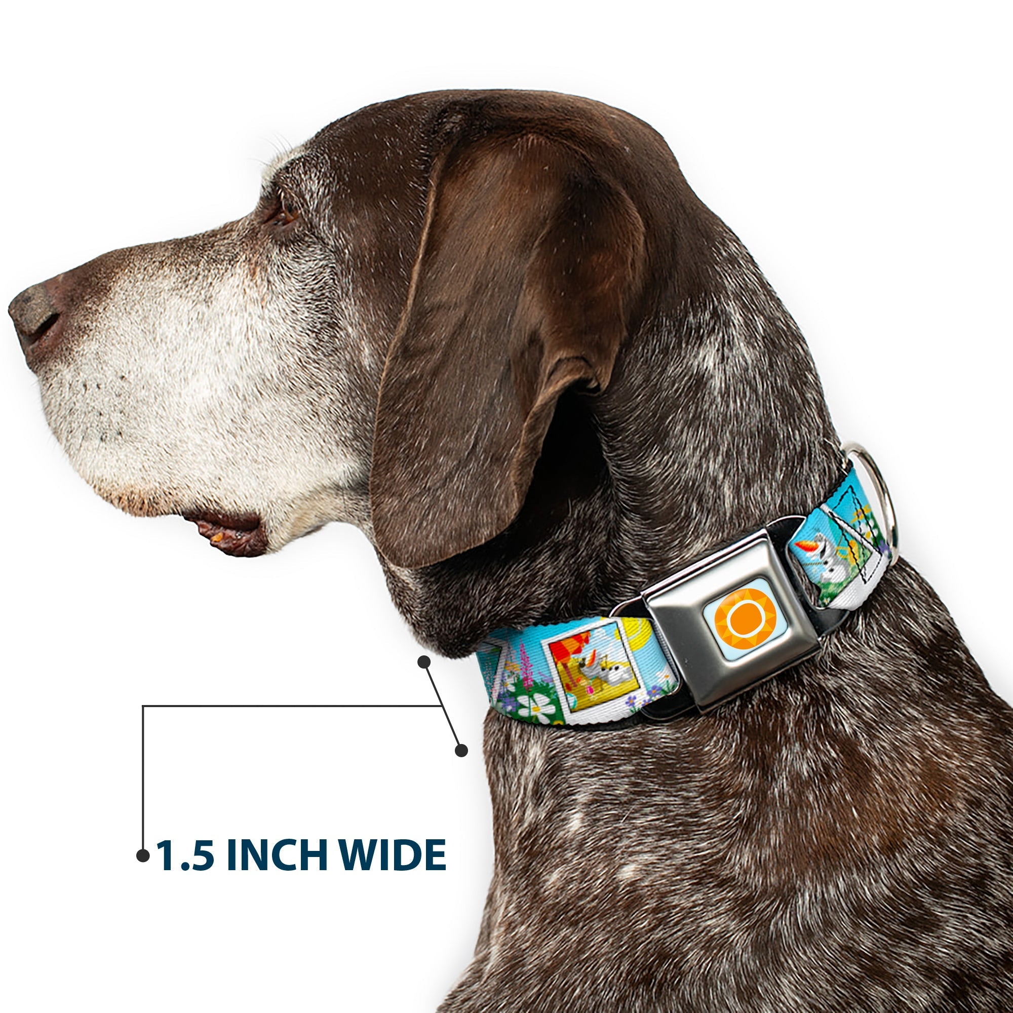 Frozen Sun Full Color Blue/Yellows Seatbelt Buckle Collar - Olaf Summertime Snapshots