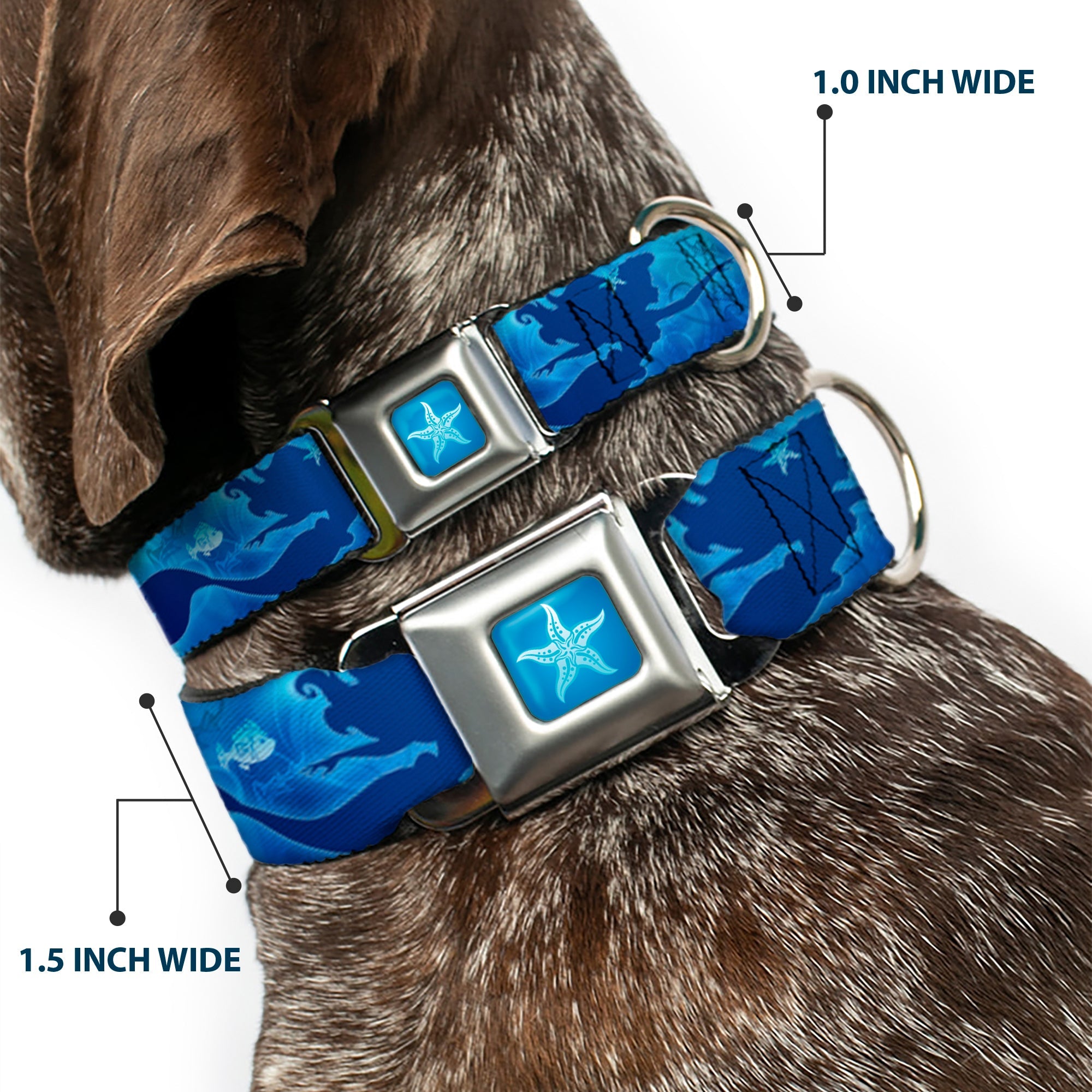 Ariel Daydreaming Full Color Blues Seatbelt Buckle Collar - Ariel Silhouette Poses/Castle Blues