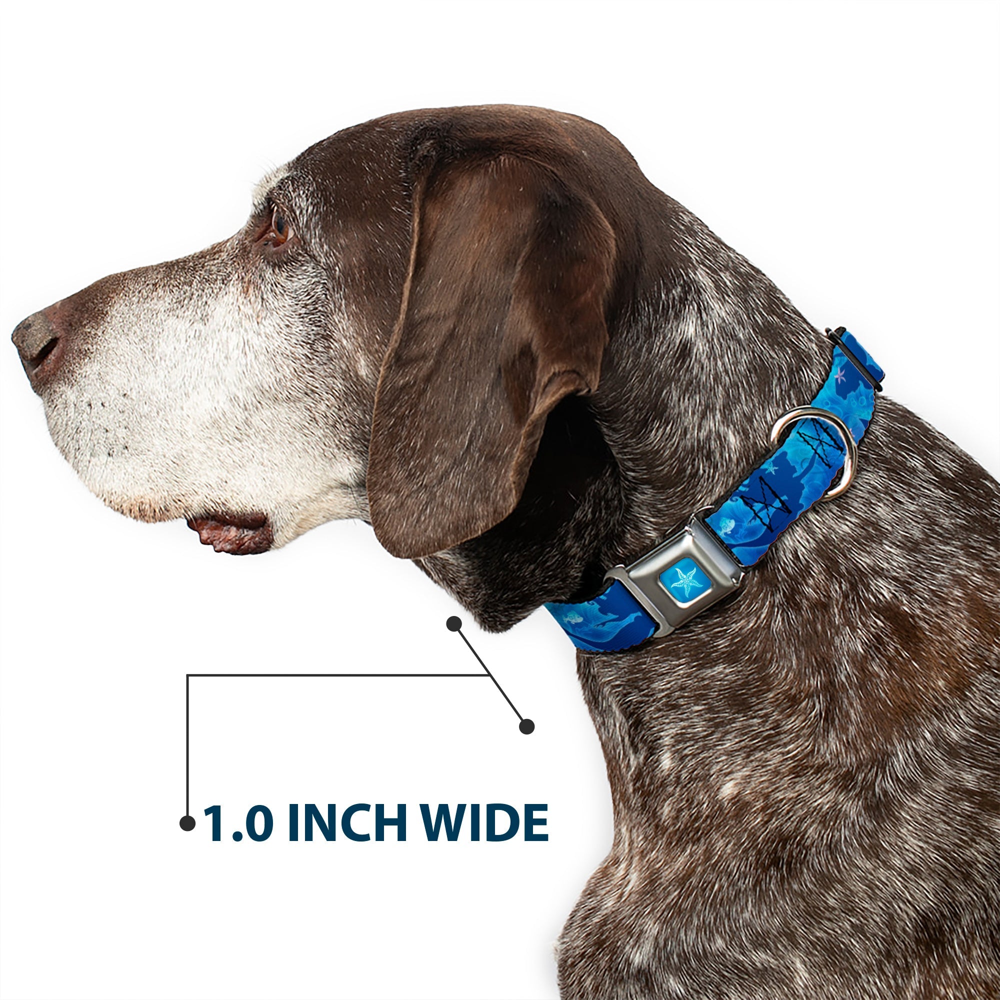 Ariel Daydreaming Full Color Blues Seatbelt Buckle Collar - Ariel Silhouette Poses/Castle Blues