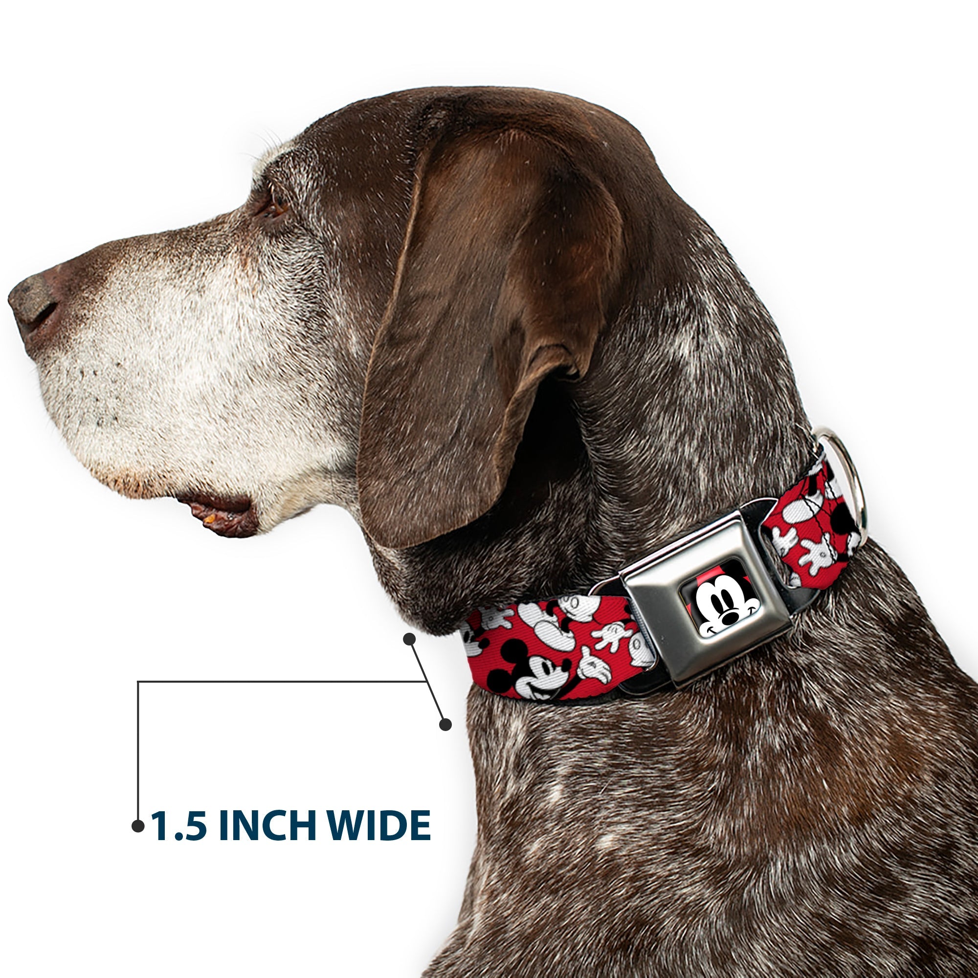 Mickey Mouse Face2 CLOSE-UP Full Color Red Black White Seatbelt Buckle Collar - Mickey Mouse Poses Scattered Red/Black/White