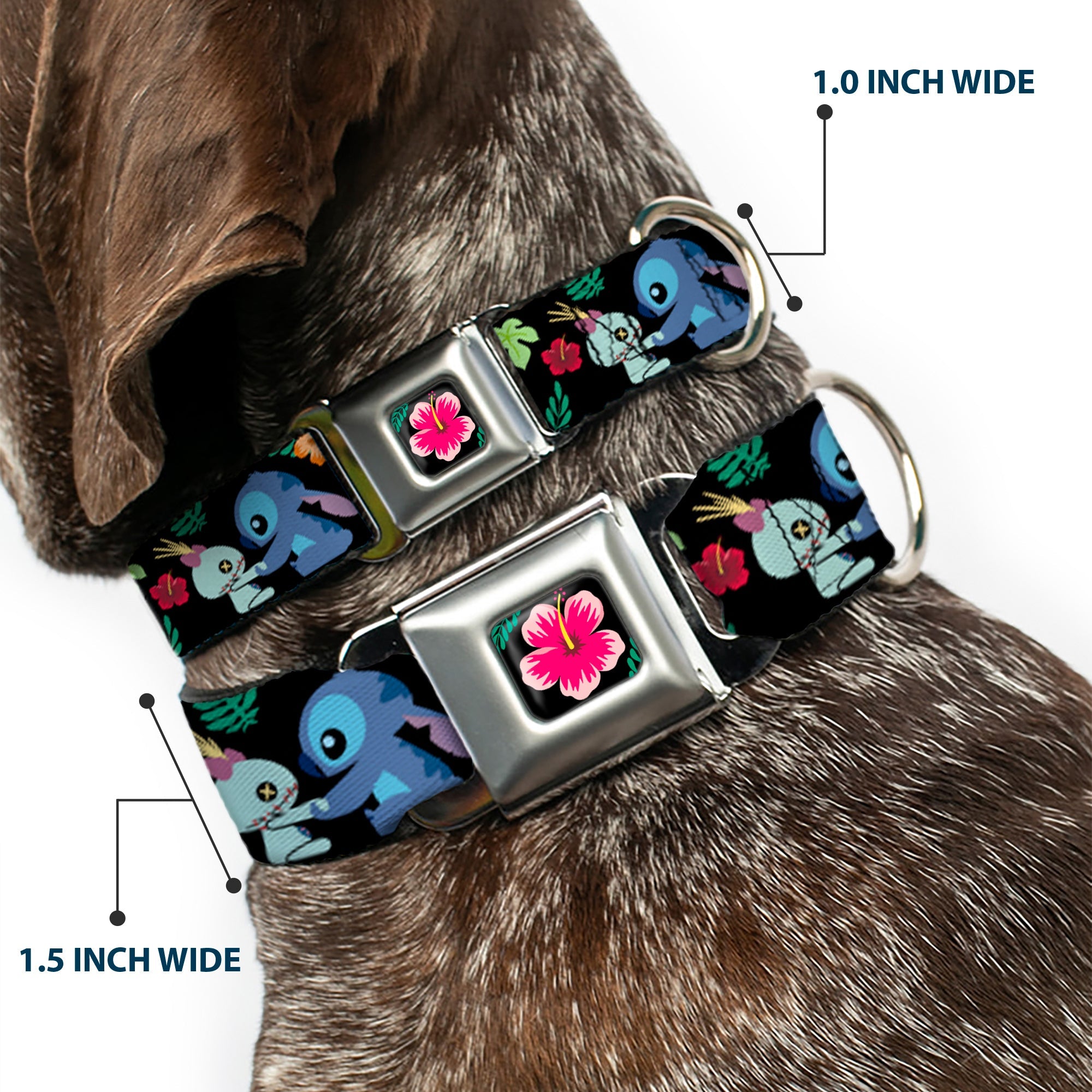 Lilo & Stitch Hibiscus Flower Full Color Black/Pink Seatbelt Buckle Collar - Stitch & Scrump Poses/Tropical Flora