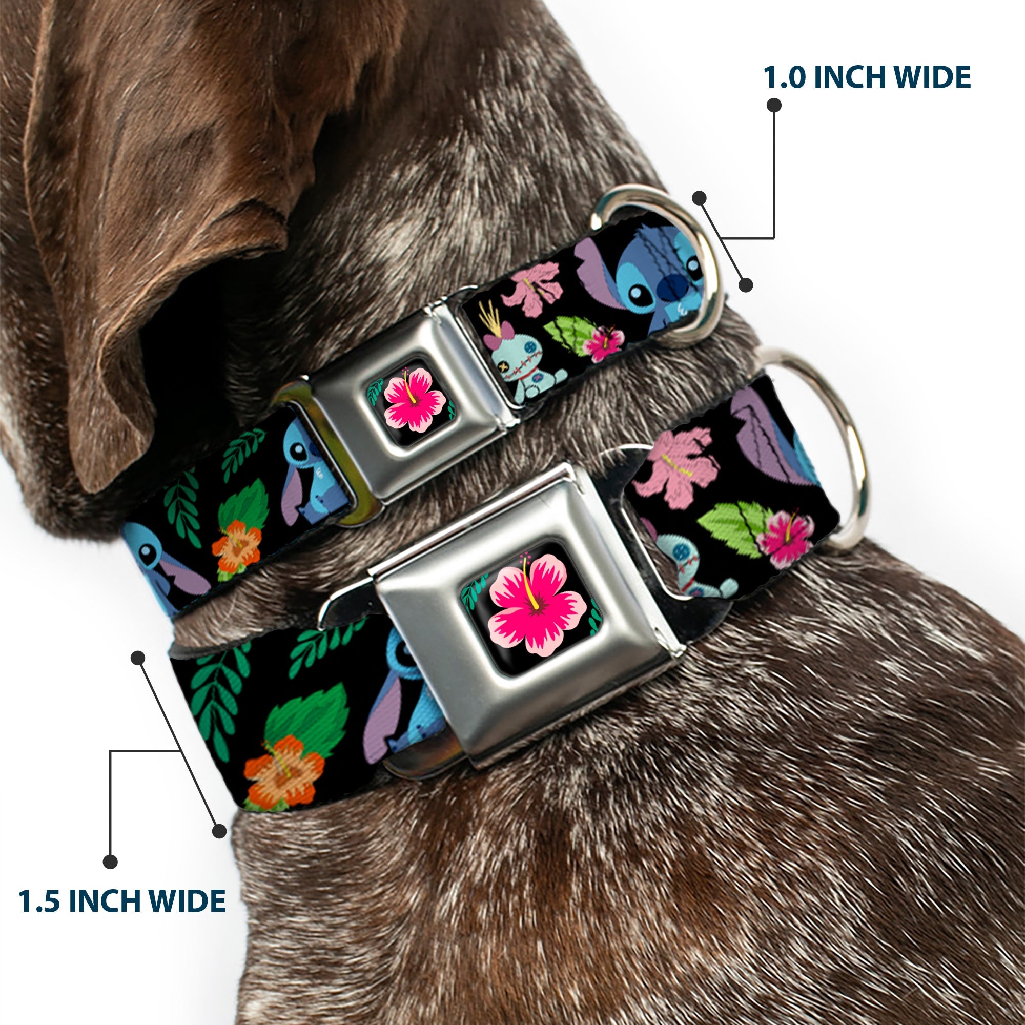 Lilo & Stitch Hibiscus Flower Full Color Black Pink Seatbelt Buckle Collar - OHANA MEANS FAMILY/Stitch & Scrump Poses/Tropical Flora Black/White/Multi Color