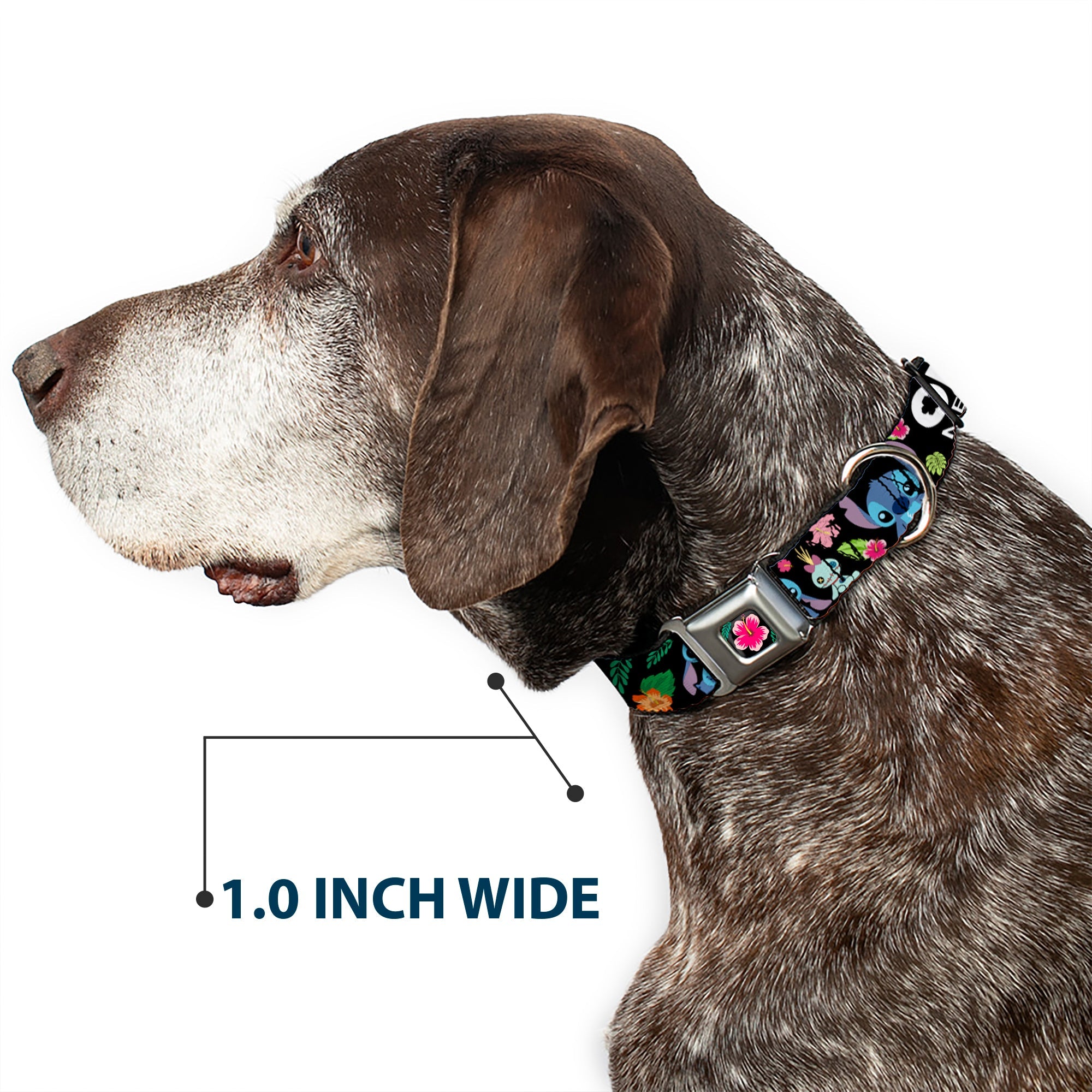 Lilo & Stitch Hibiscus Flower Full Color Black Pink Seatbelt Buckle Collar - OHANA MEANS FAMILY/Stitch & Scrump Poses/Tropical Flora Black/White/Multi Color
