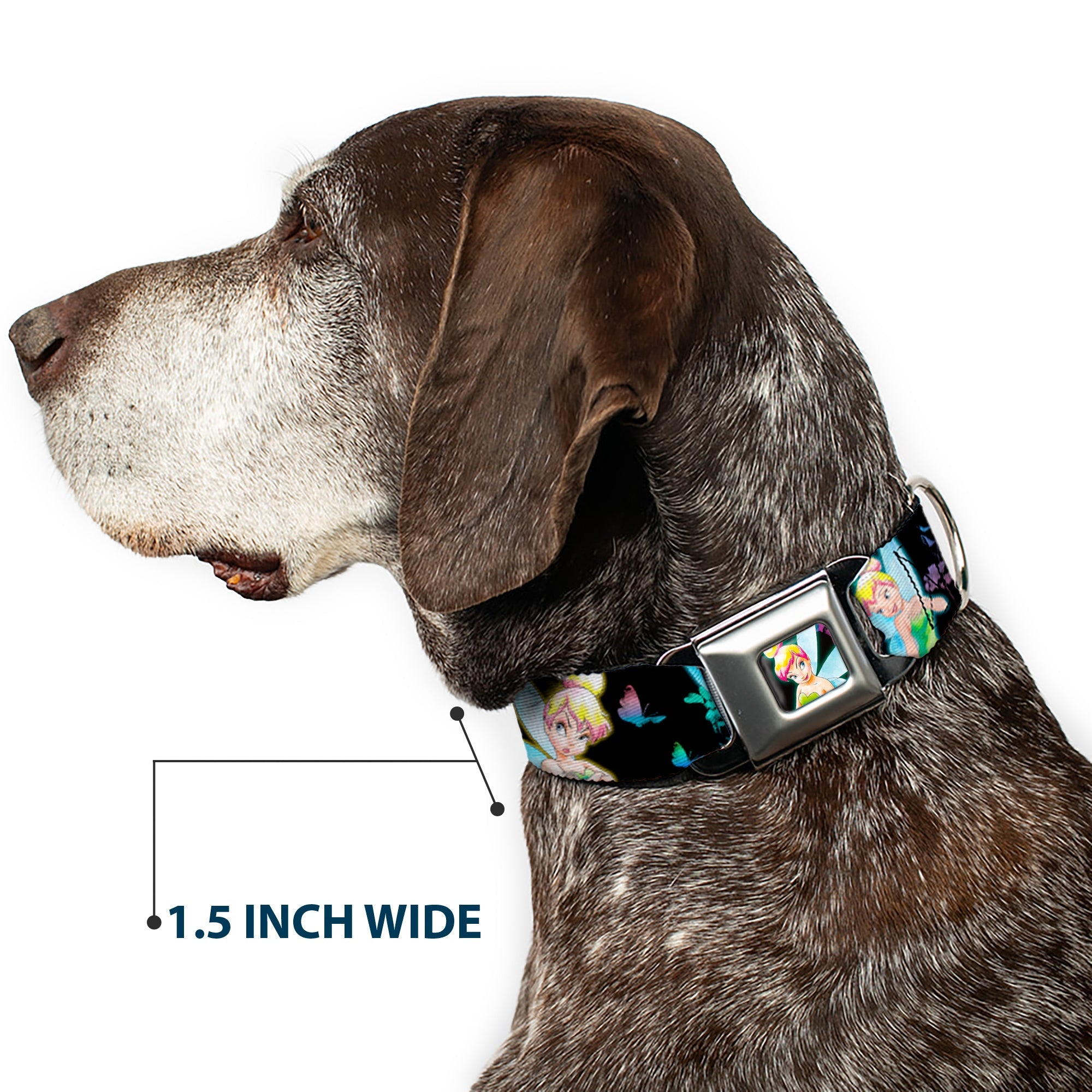 Glowing Tinker Bell Pose Full Color Seatbelt Buckle Collar - Glowing Tinker Bell Poses/Butterflies & Flowers Black/Multi Neon