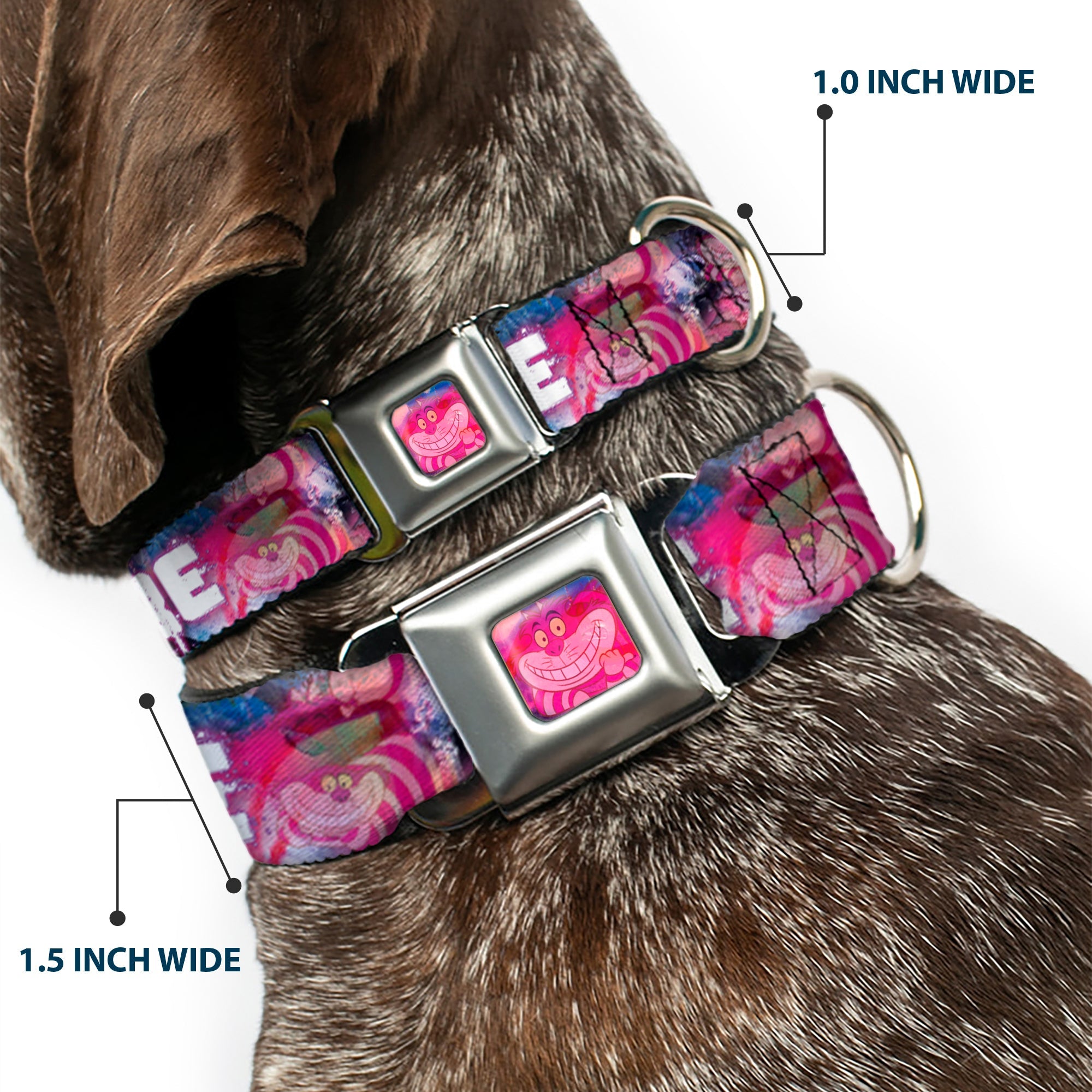 Transparent Cheshire Cat Face Full Color Seatbelt Buckle Collar - Transparent Cheshire Cat Poses WERE ALL MAD HERE