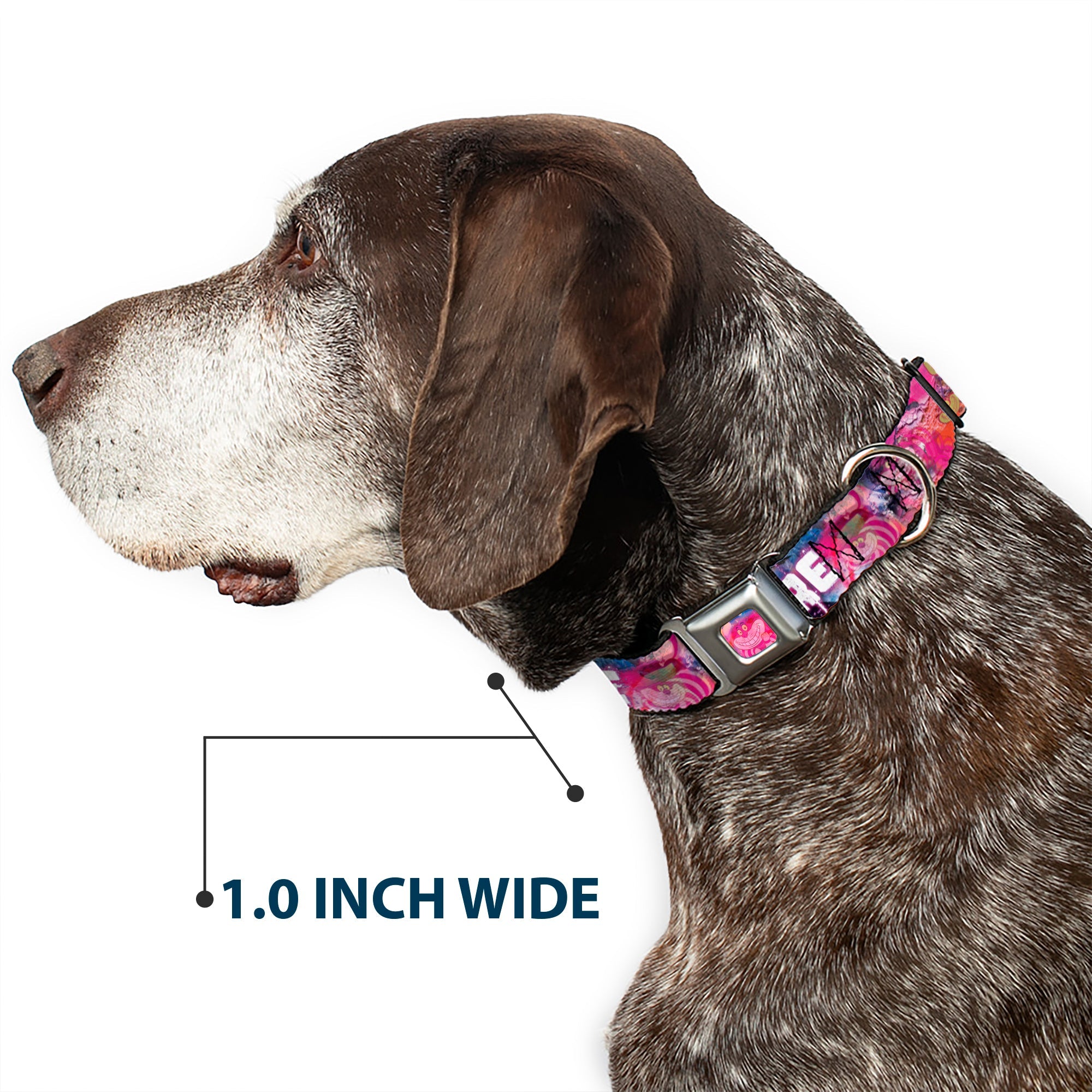 Transparent Cheshire Cat Face Full Color Seatbelt Buckle Collar - Transparent Cheshire Cat Poses WERE ALL MAD HERE