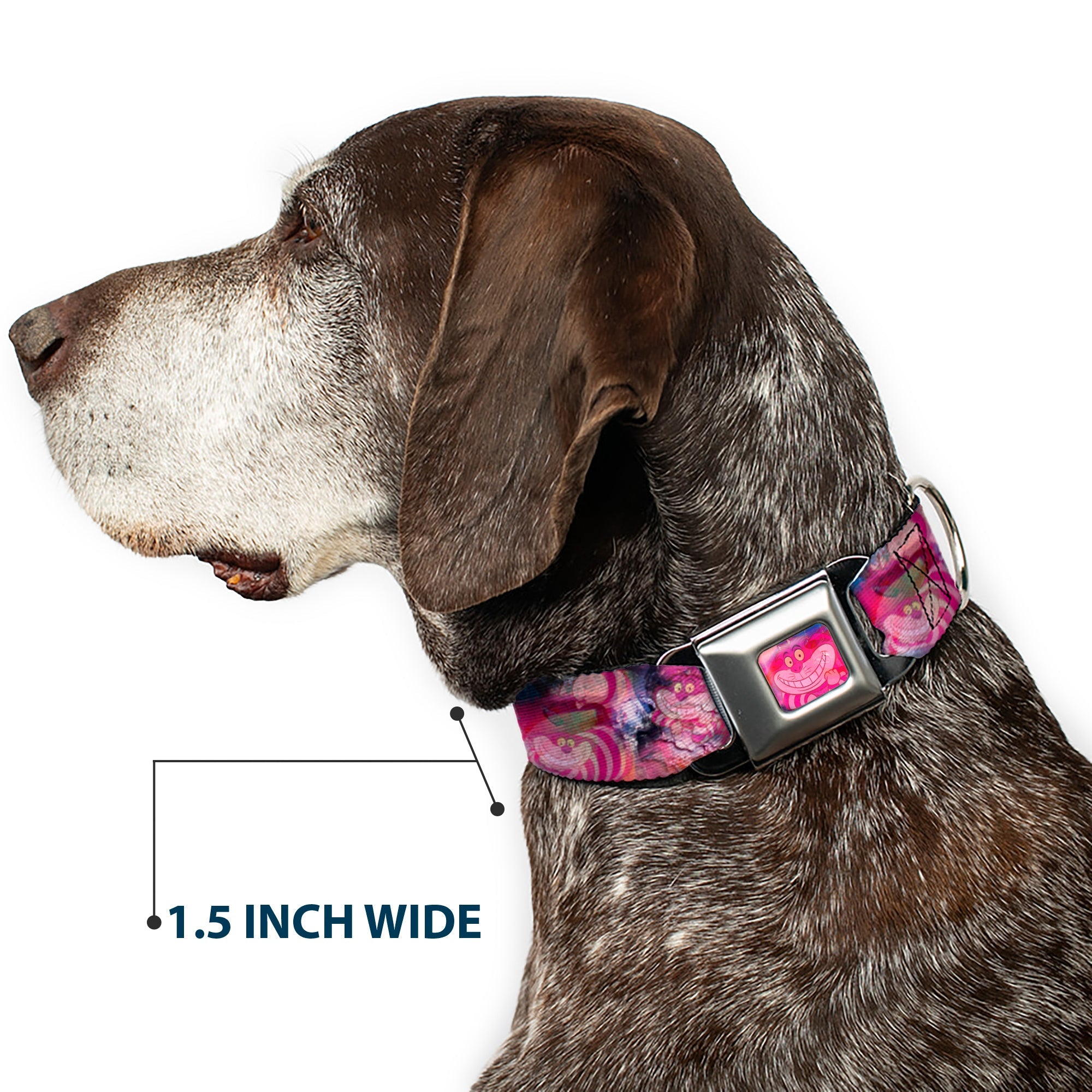 Transparent Cheshire Cat Face Full Color Seatbelt Buckle Collar - Transparent Cheshire Cat Poses WERE ALL MAD HERE