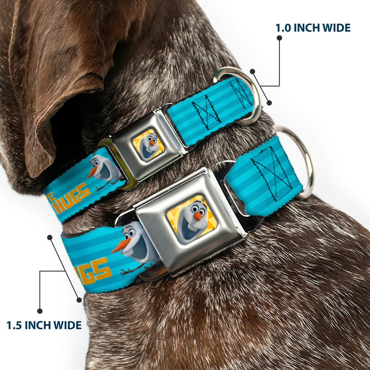 Olaf Face Frozen Sun Full Color Seatbelt Buckle Collar - Olaf Pose I LOVE WARM HUGS Stripe Blues