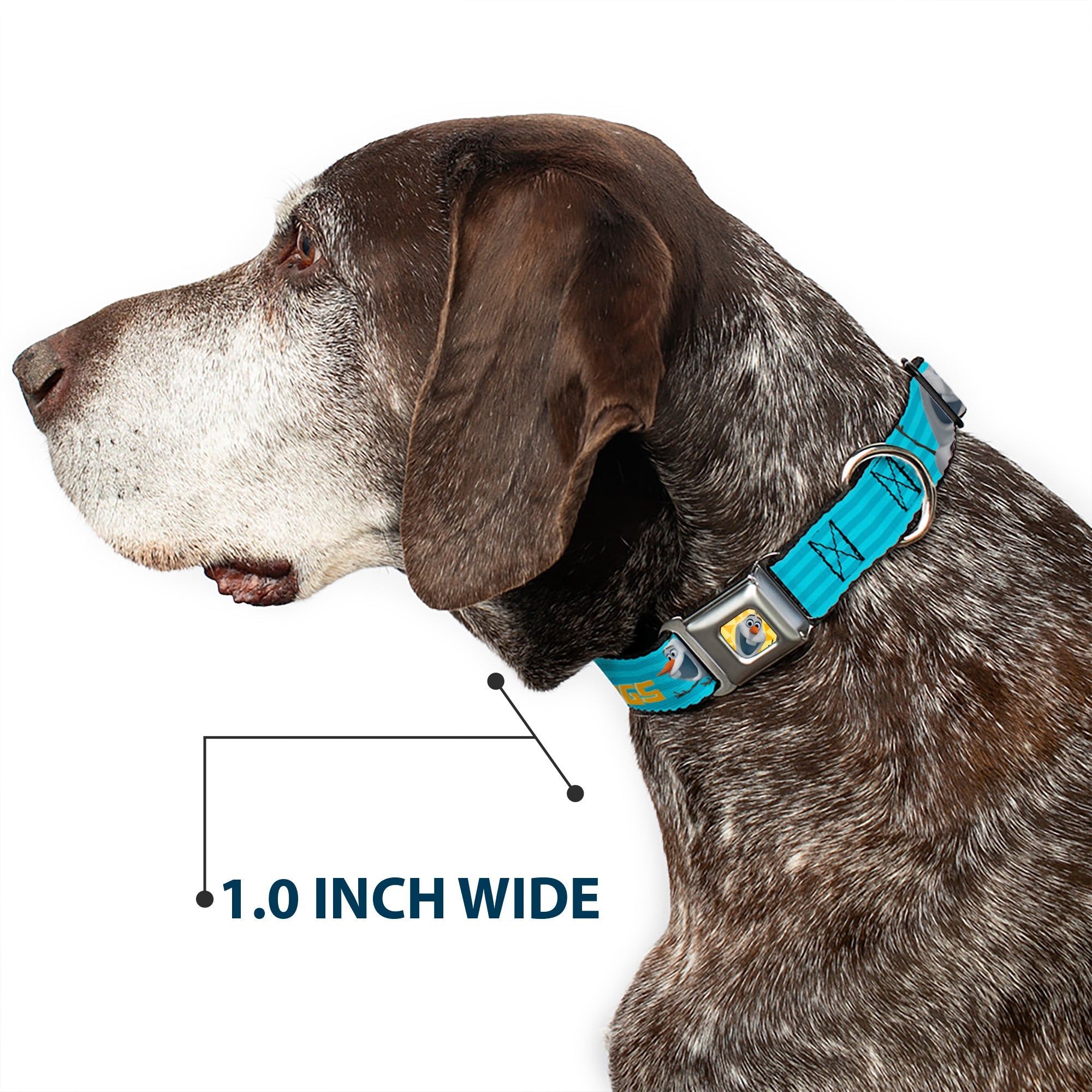 Olaf Face Frozen Sun Full Color Seatbelt Buckle Collar - Olaf Pose I LOVE WARM HUGS Stripe Blues