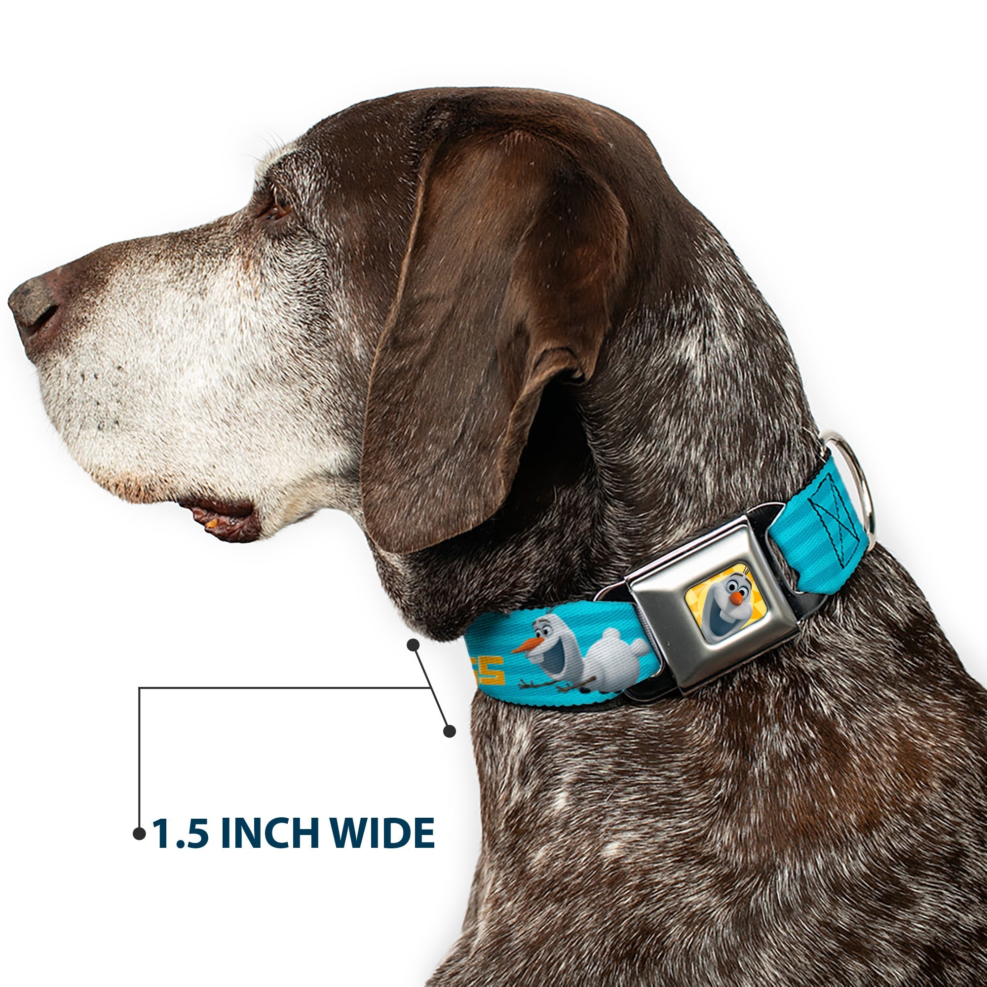 Olaf Face Frozen Sun Full Color Seatbelt Buckle Collar - Olaf Pose I LOVE WARM HUGS Stripe Blues
