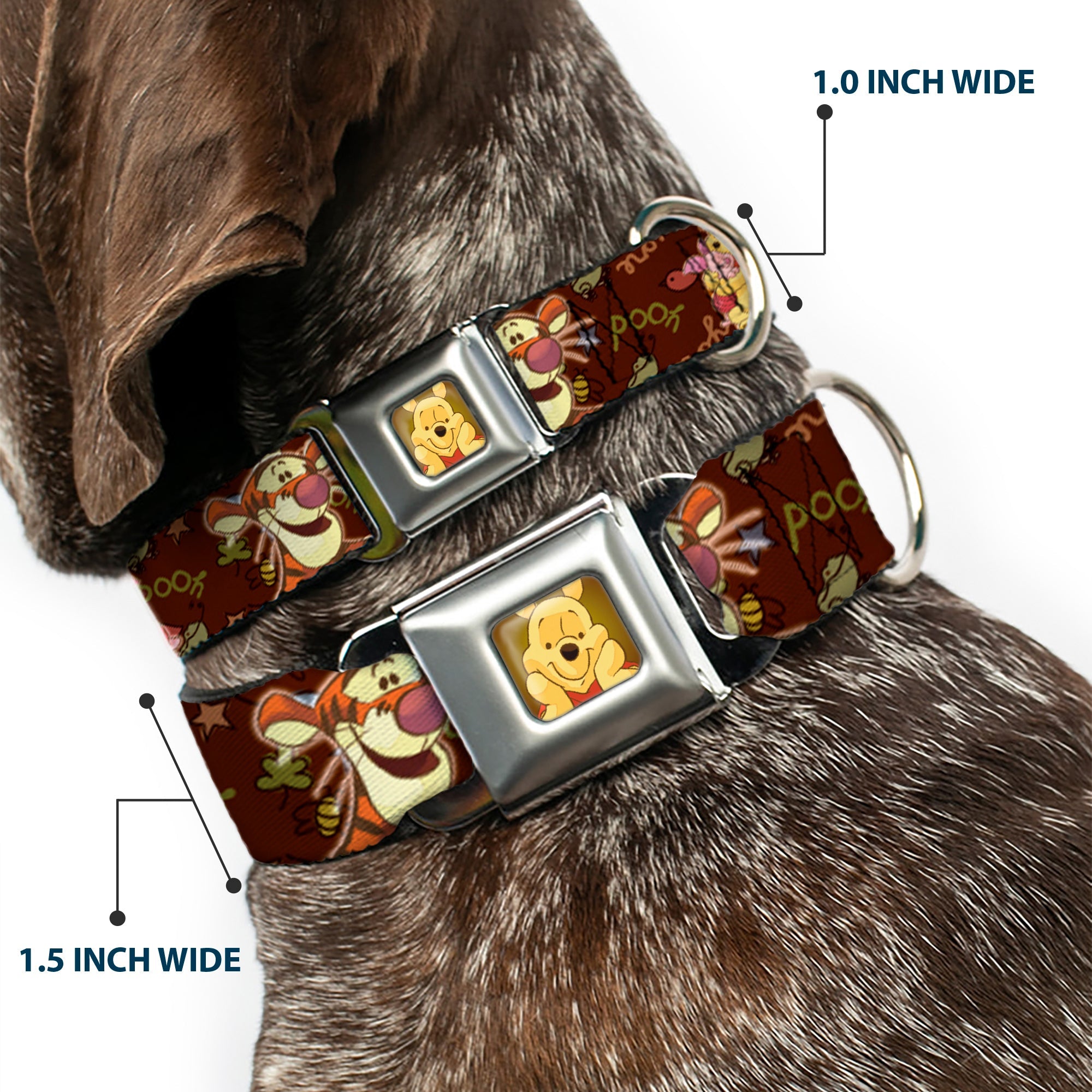 Winnie the Pooh Face Full Color Radial Brown Fade Seatbelt Buckle Collar - Winnie the Pooh Character Poses