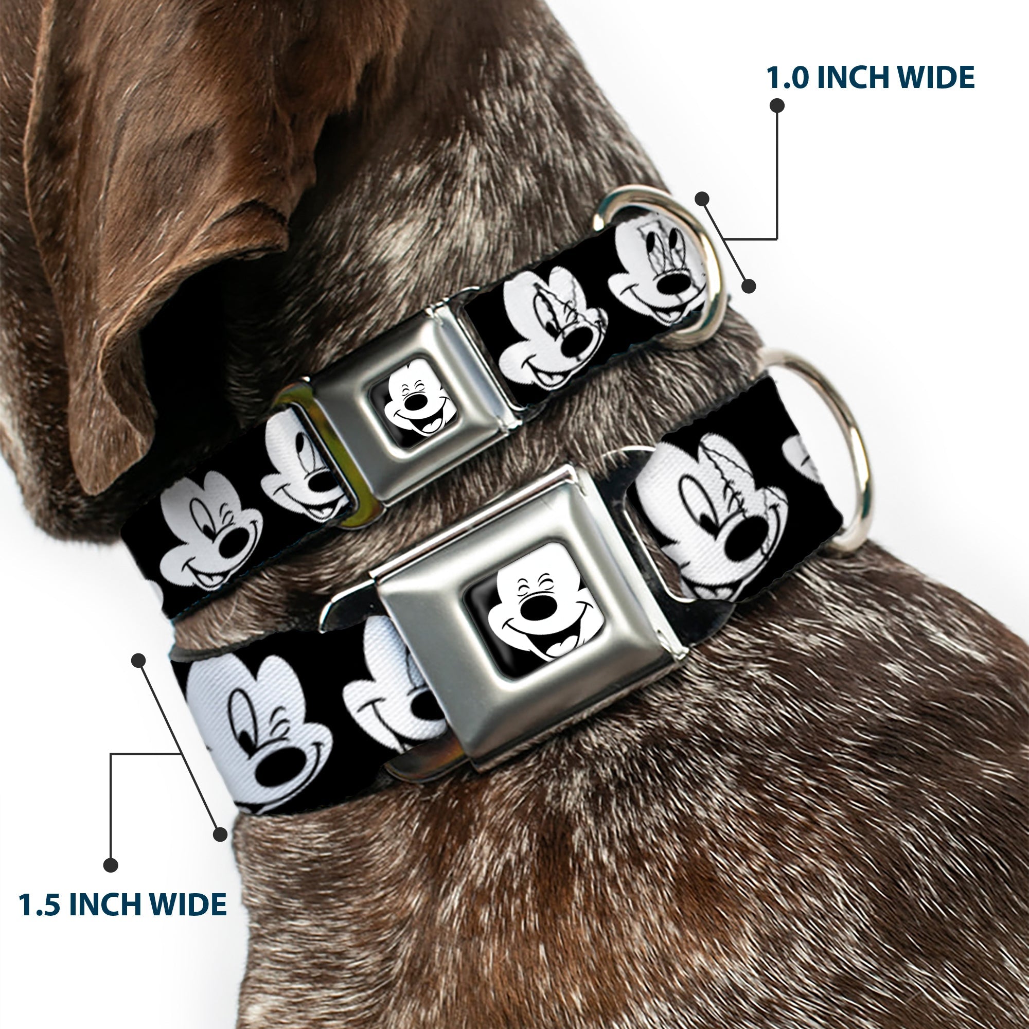 Mickey Mouse Face3 CLOSE-UP Full Color Black/White Seatbelt Buckle Collar - Mickey Mouse Expressions CLOSE-UP Black/White
