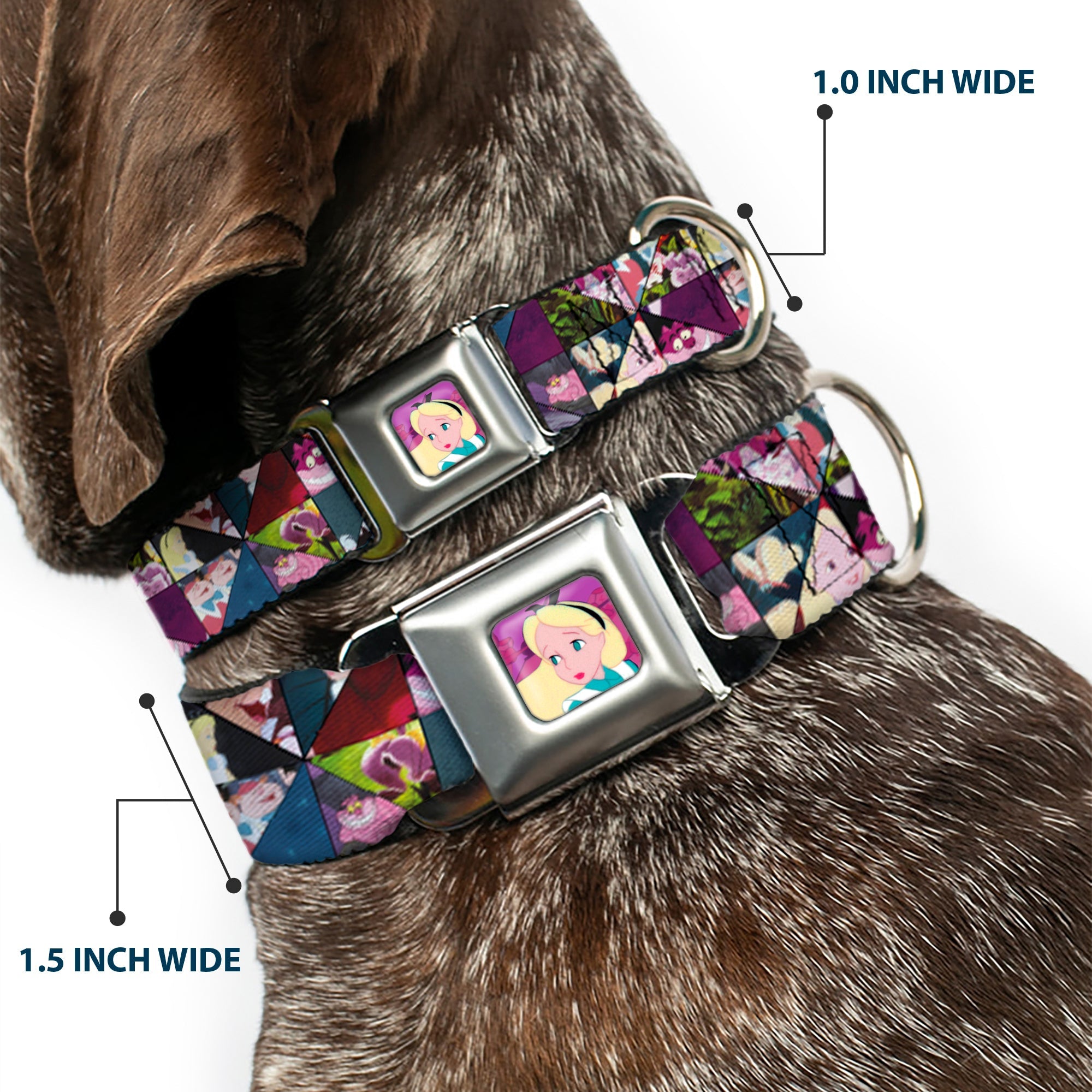 Alice/Cards Full Color Pinks Seatbelt Buckle Collar - Alice in Wonderland Kaleidoscope Scenes